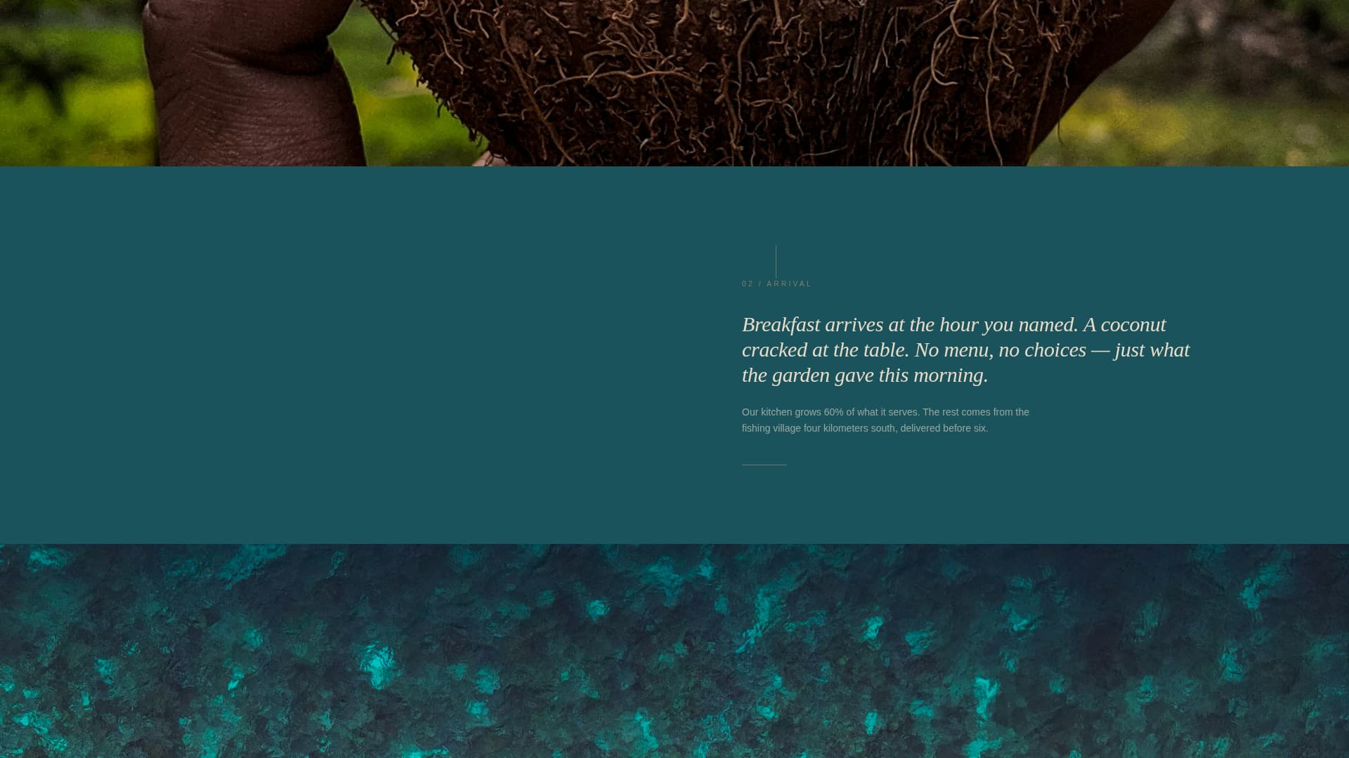 Eco Lodge & Nature Resort Gallery Walk Website Template