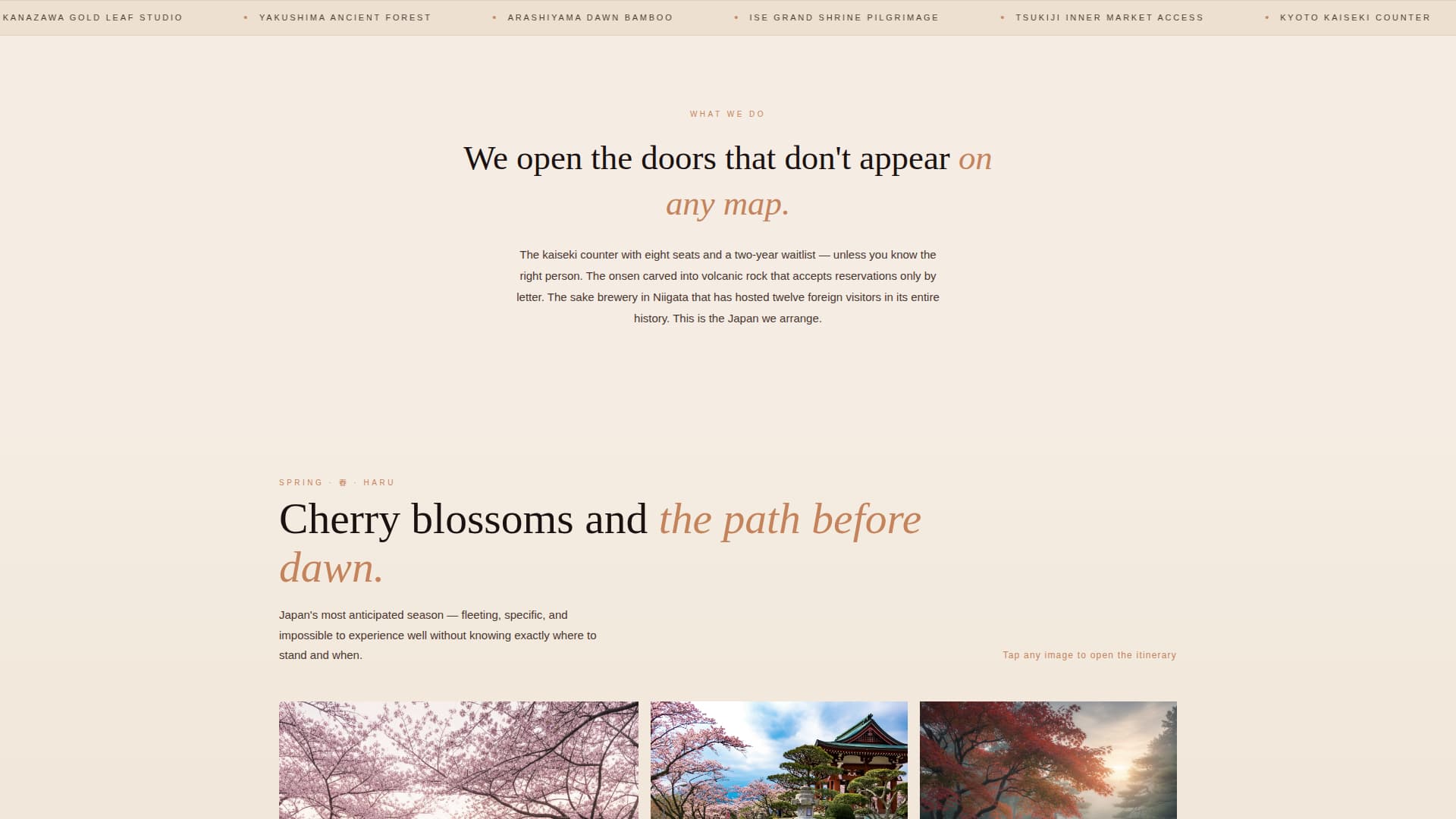 Japan Travel Specialist Booking Website Template