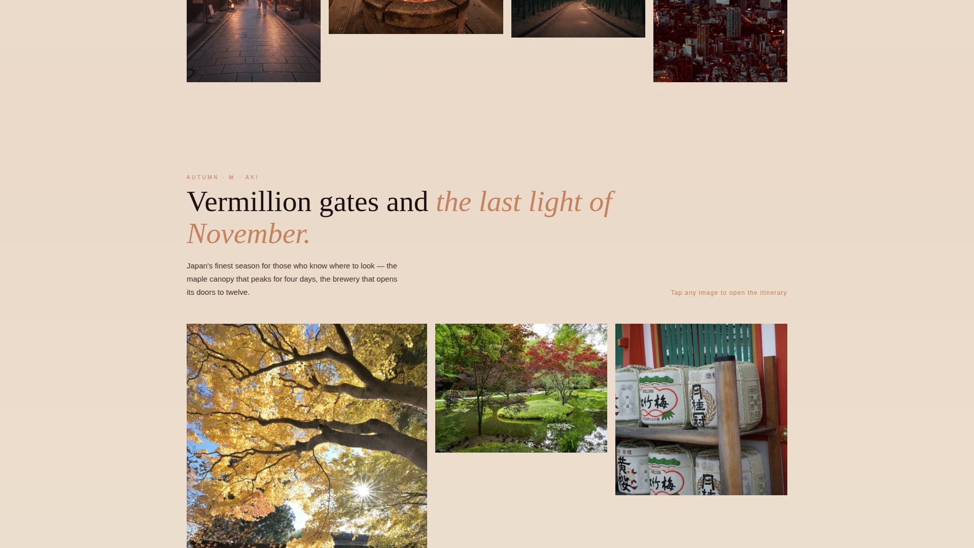 Japan Travel Specialist Booking Website Template