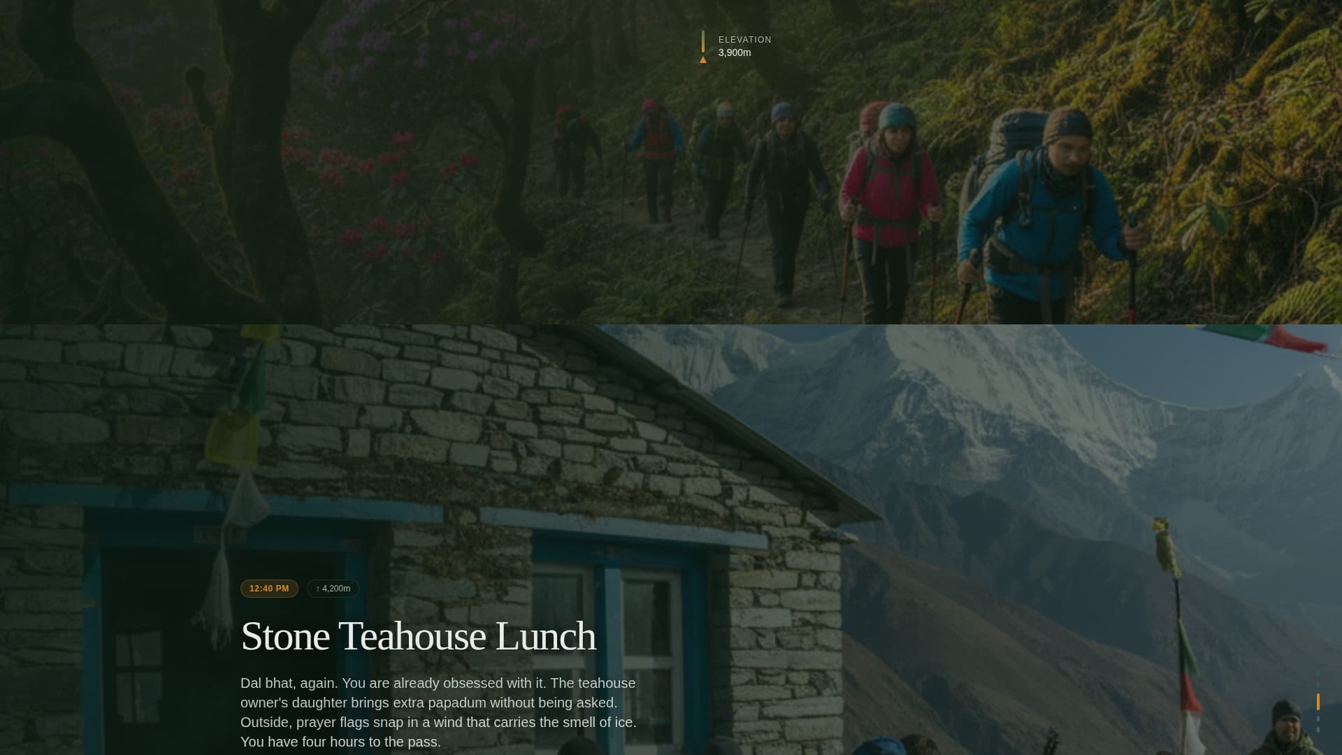 Nepal Travel Booking Website Template