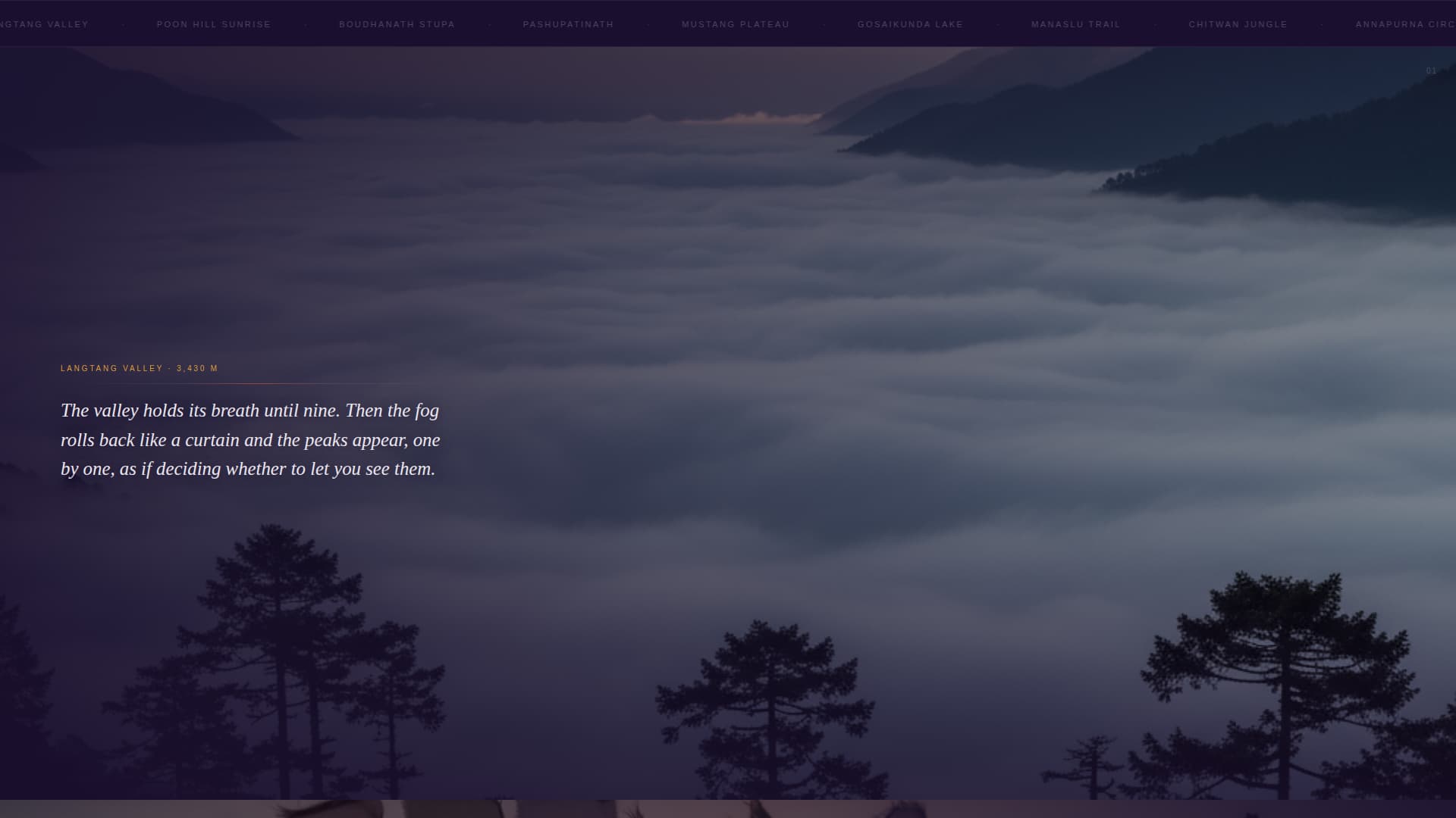 Nepal Travel Professional Website Template