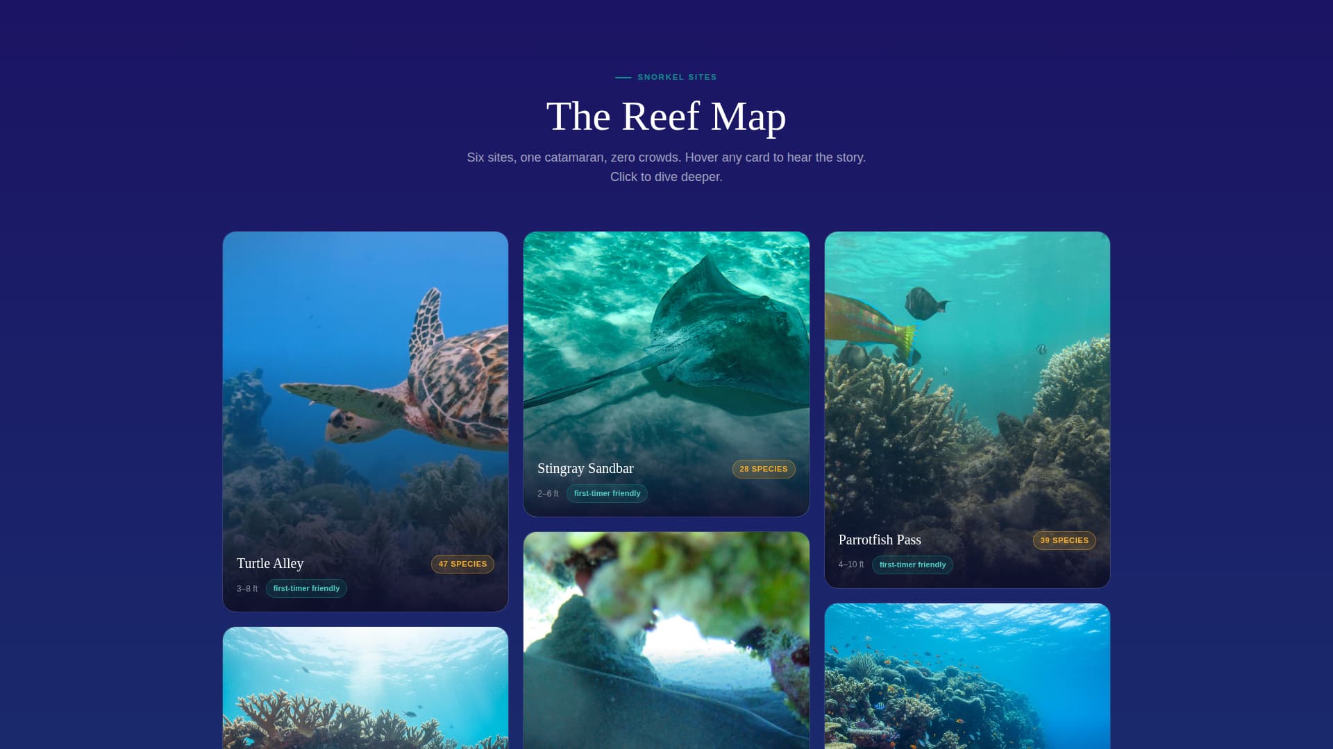 Small-Group Snorkelling & Reef Tour Operator Website Template