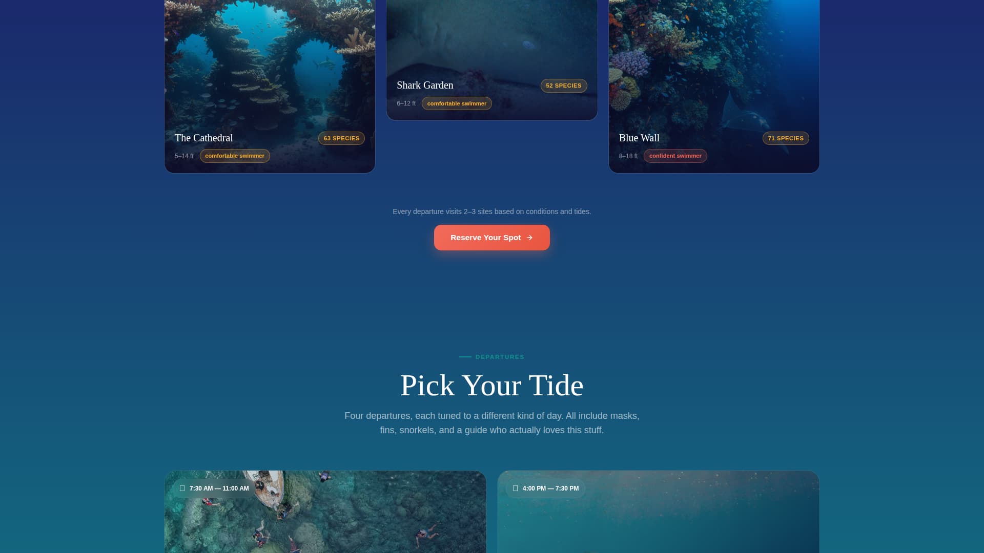 Small-Group Snorkelling & Reef Tour Operator Website Template