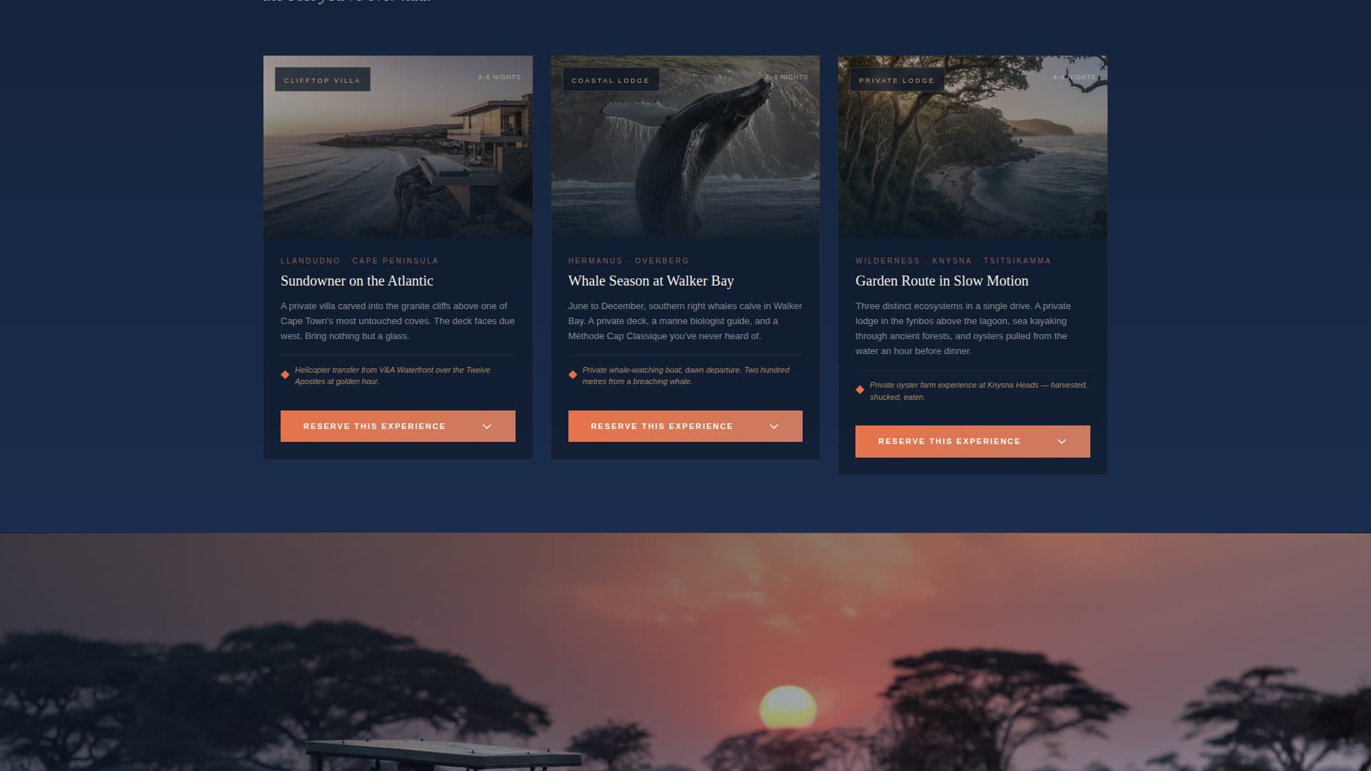 South Africa Travel Portfolio Website Template