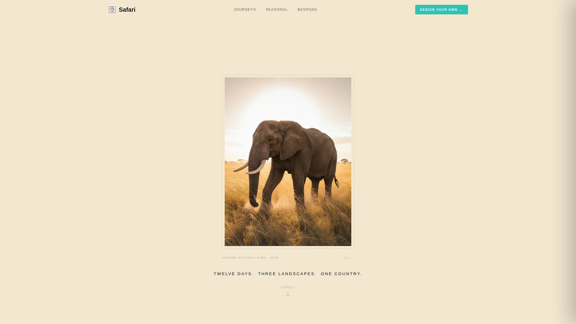 South Africa Travel Specialist Booking Website Template