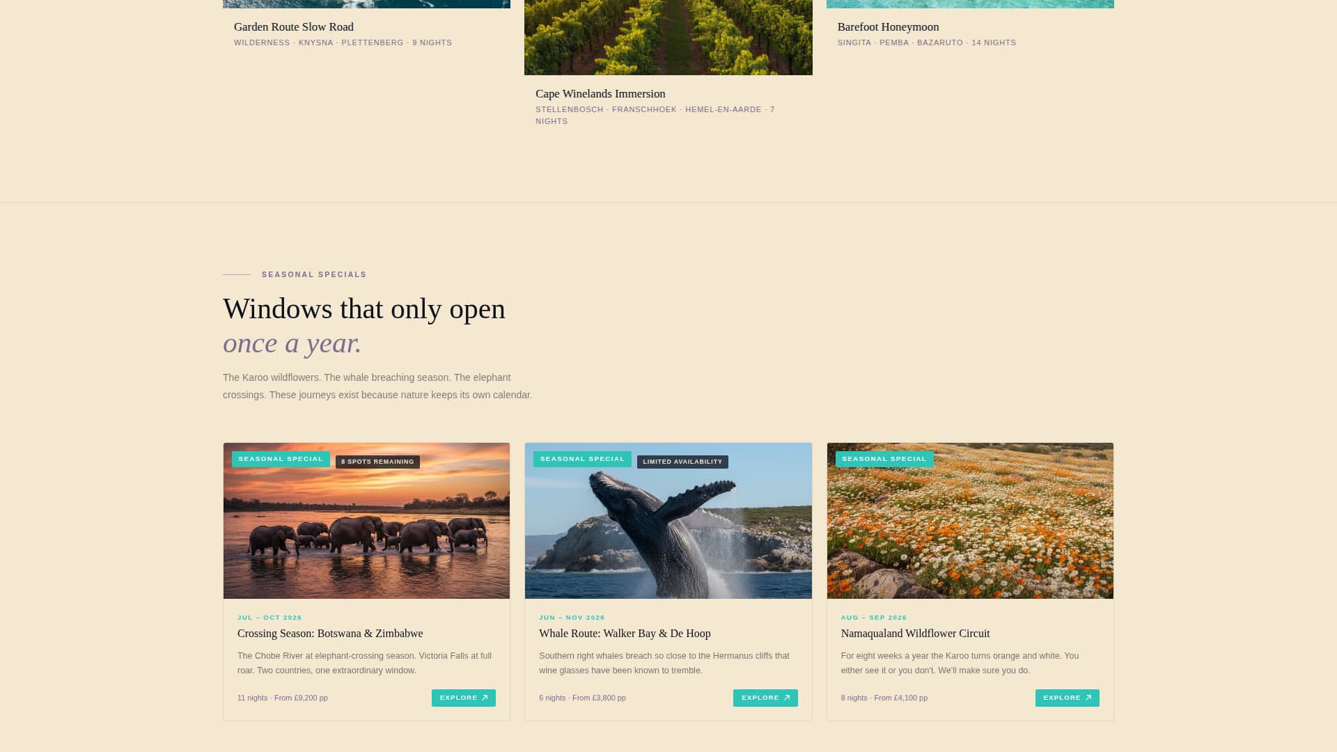 South Africa Travel Specialist Booking Website Template