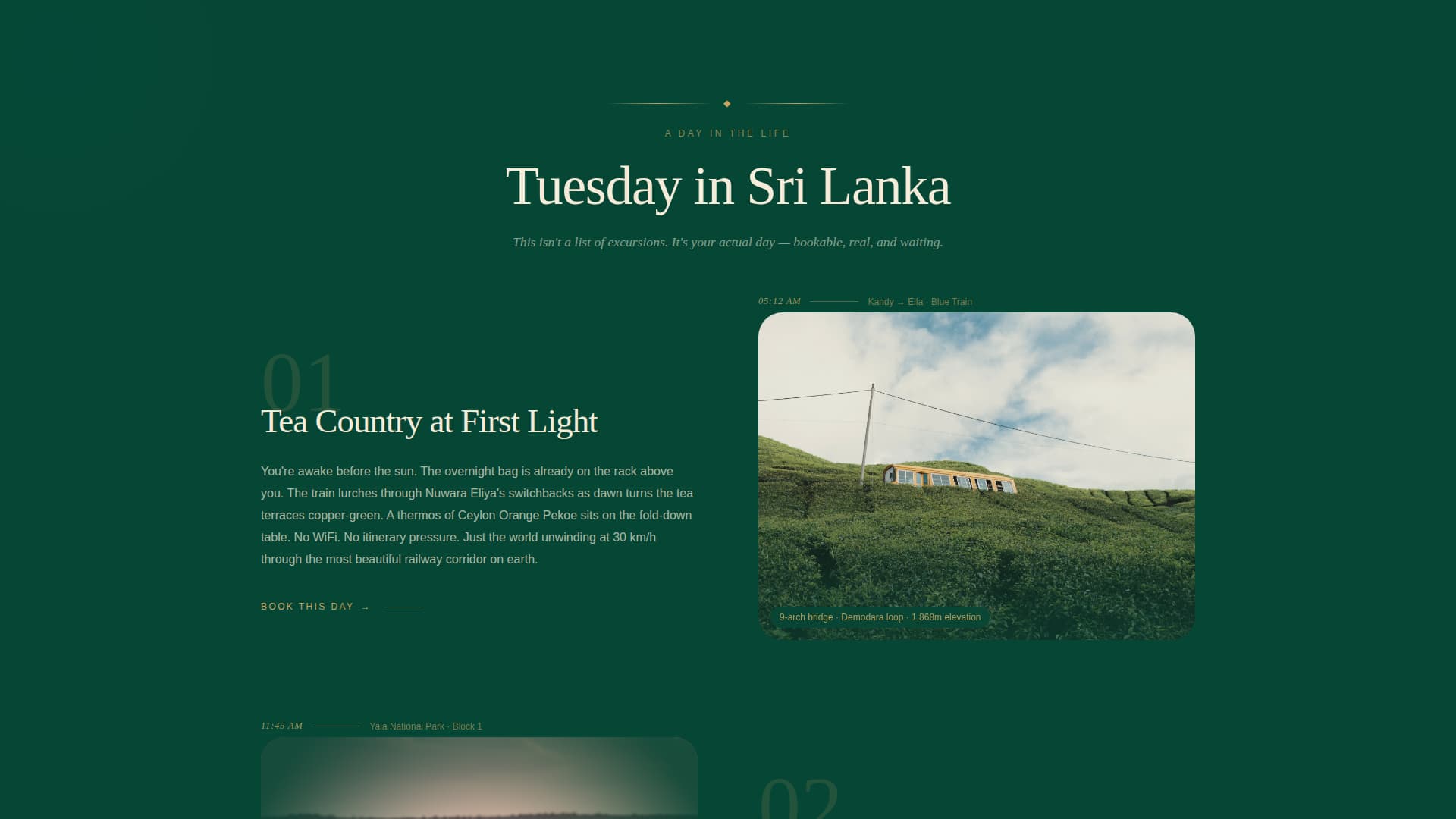 Sri Lanka Travel Complete Booking Website Template