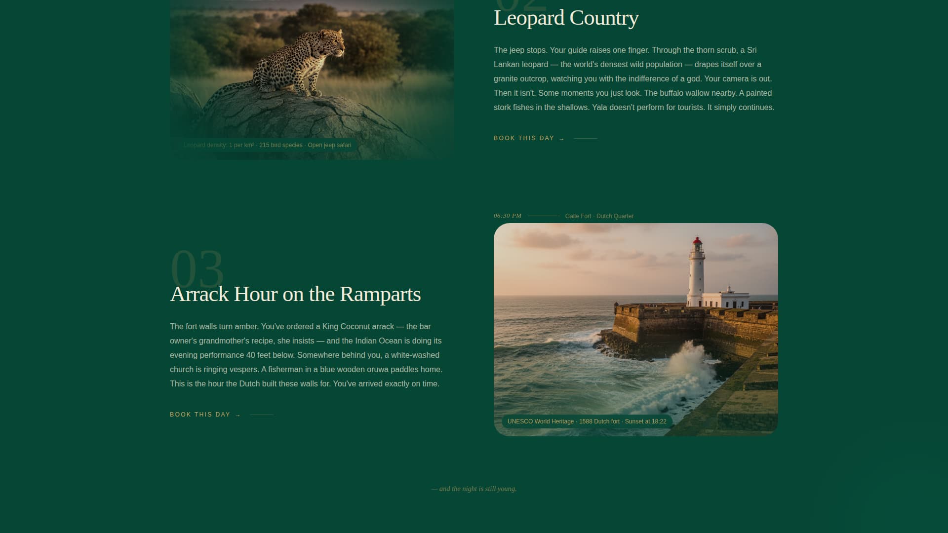 Sri Lanka Travel Complete Booking Website Template