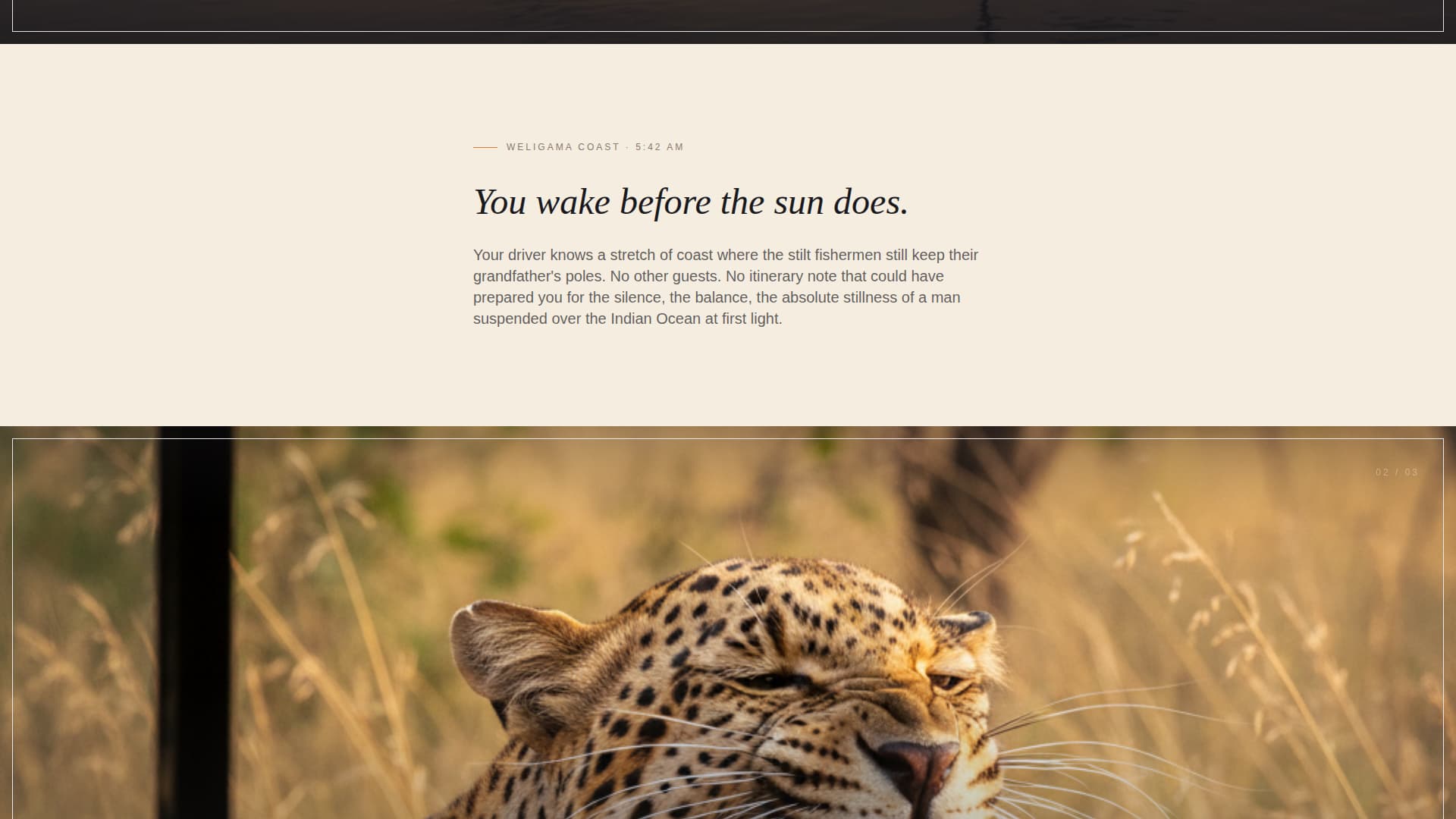 Sri Lanka Travel Booking Website Template