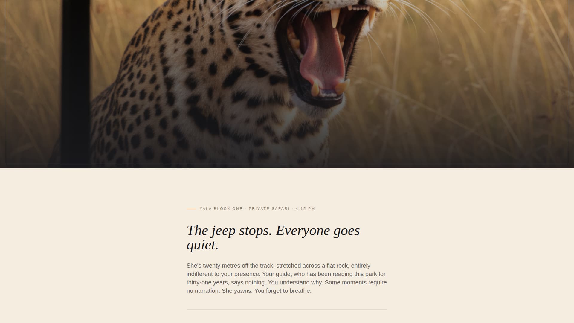 Sri Lanka Travel Booking Website Template