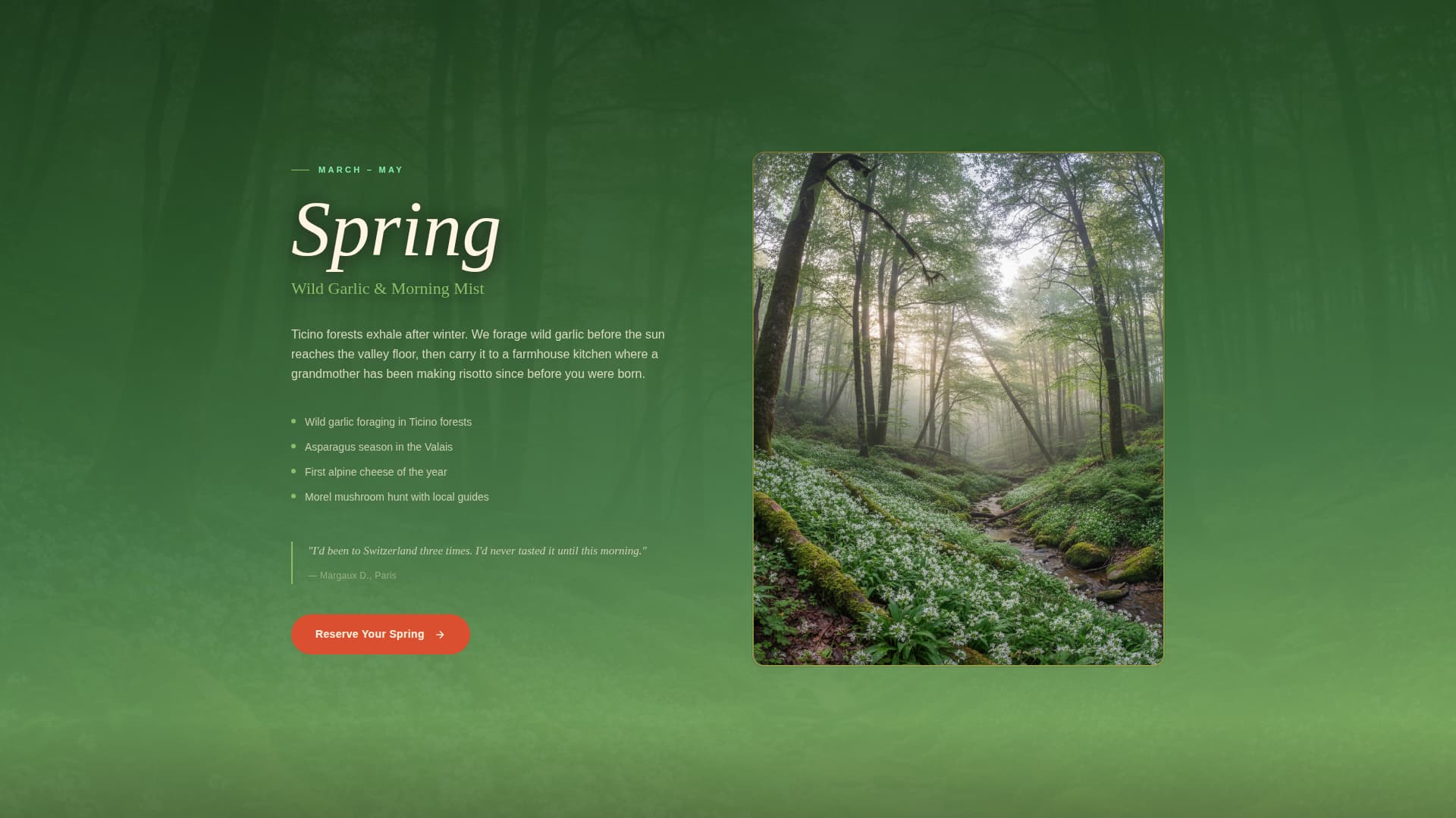 Switzerland Travel Advanced Booking Website Template