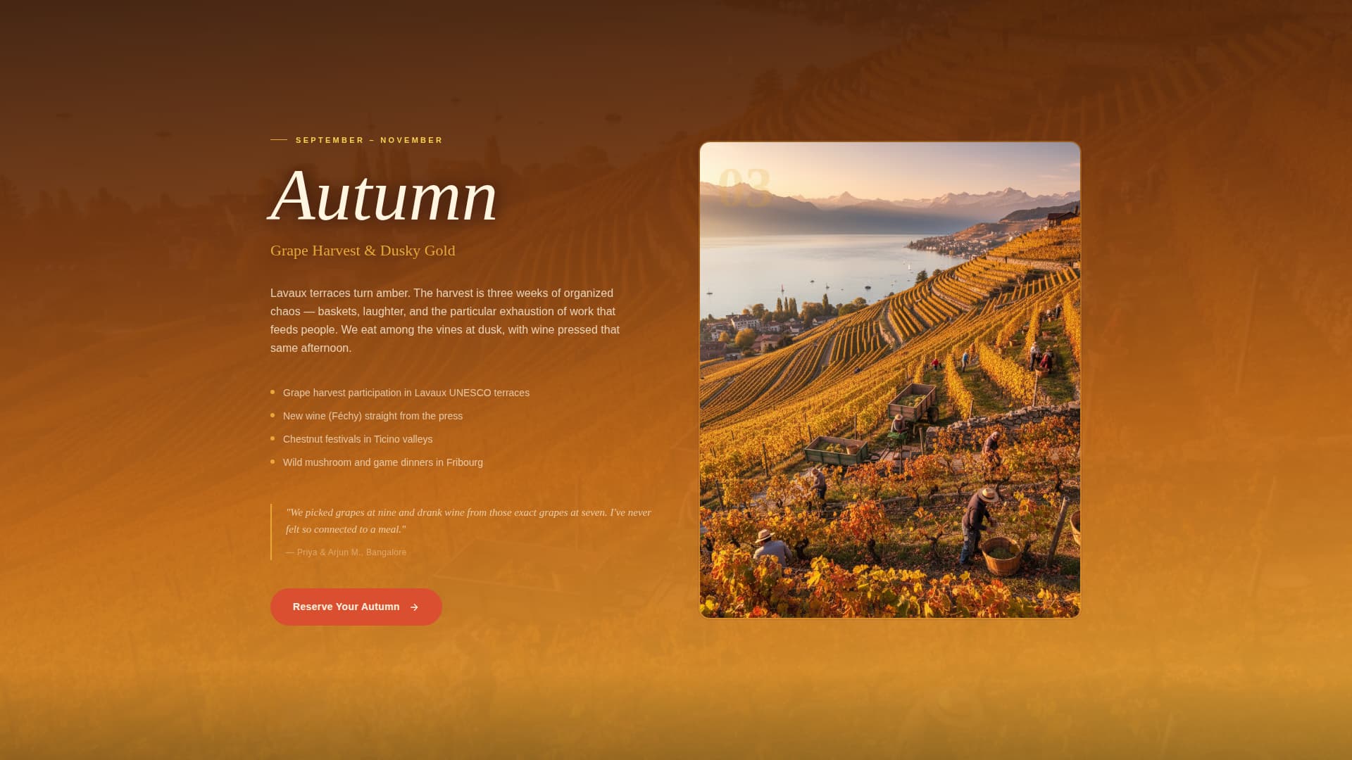 Switzerland Travel Advanced Booking Website Template