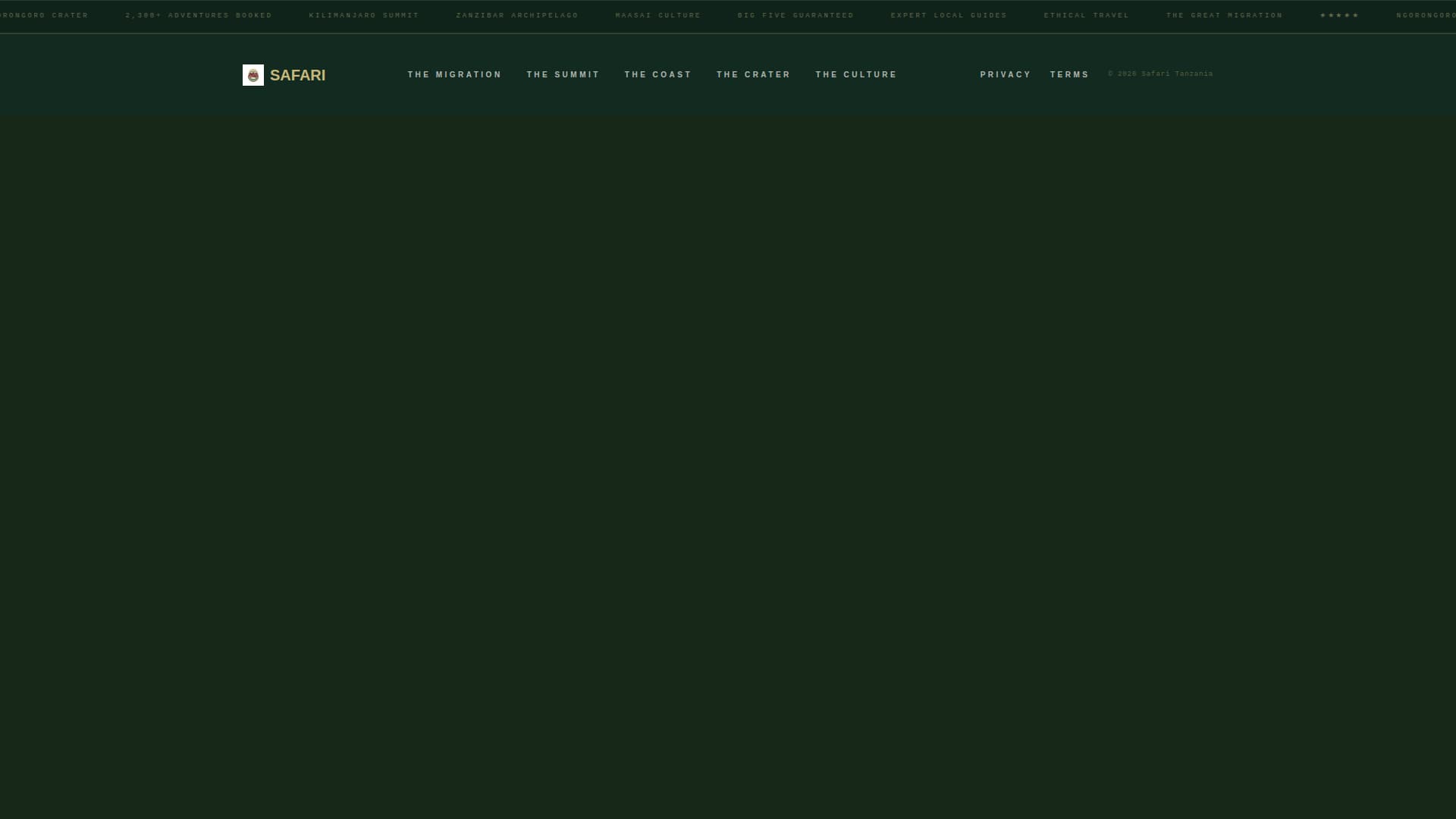 Tanzania Travel Booking Website Template