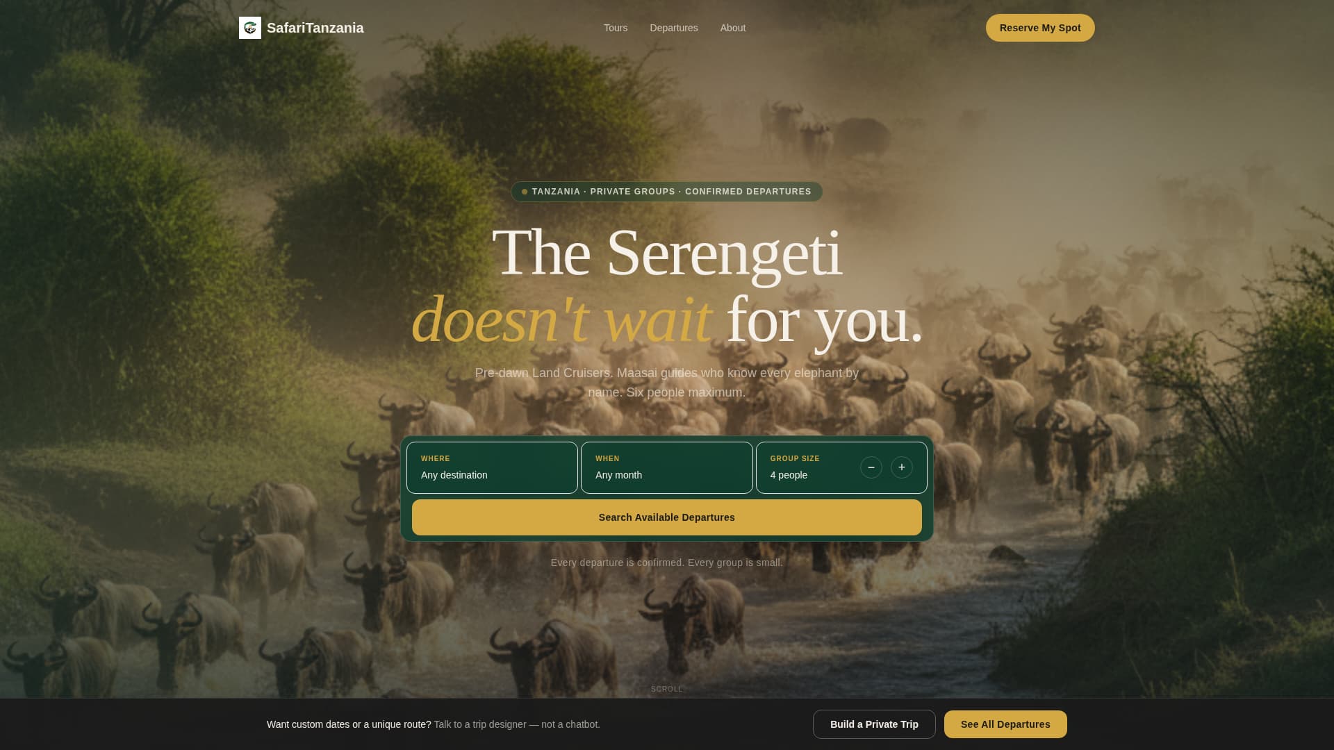 Tanzania Travel Specialist Booking Website Template