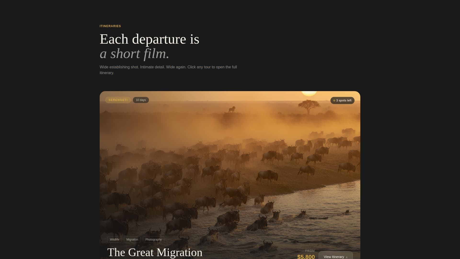 Tanzania Travel Specialist Booking Website Template