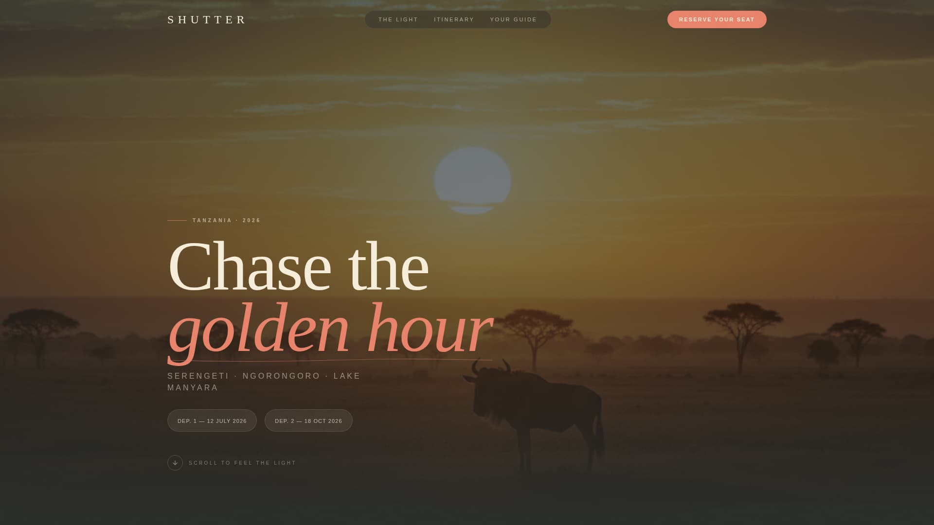 Tanzania Travel Professional Website Template