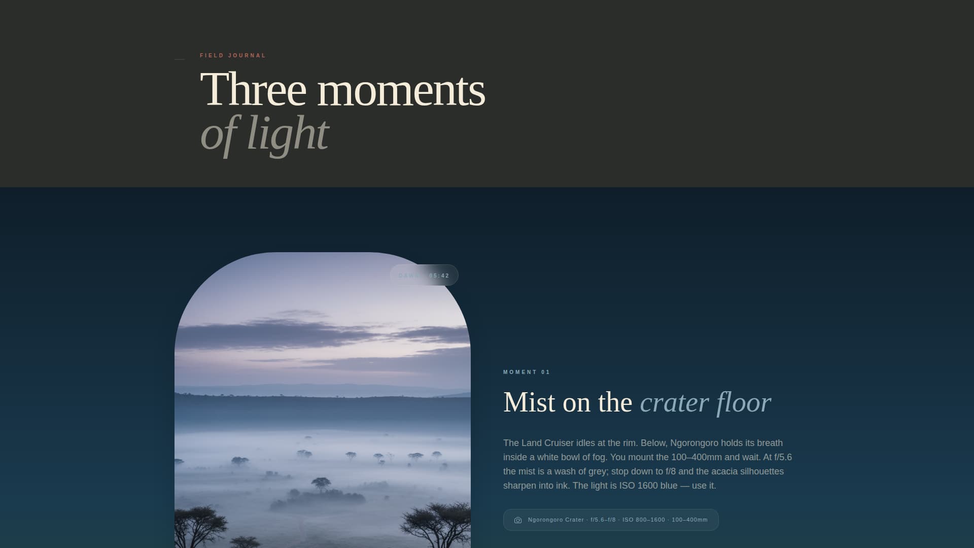 Tanzania Travel Professional Website Template