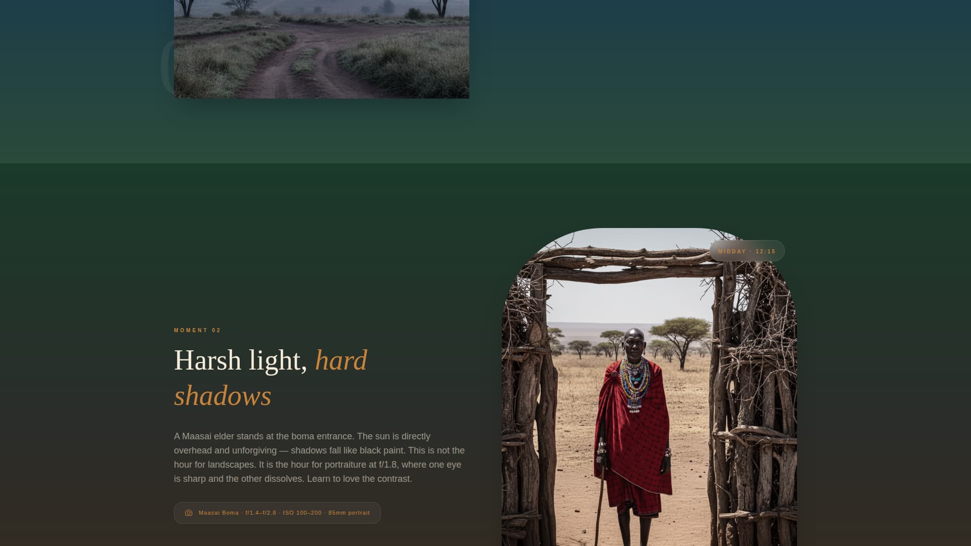 Tanzania Travel Professional Website Template