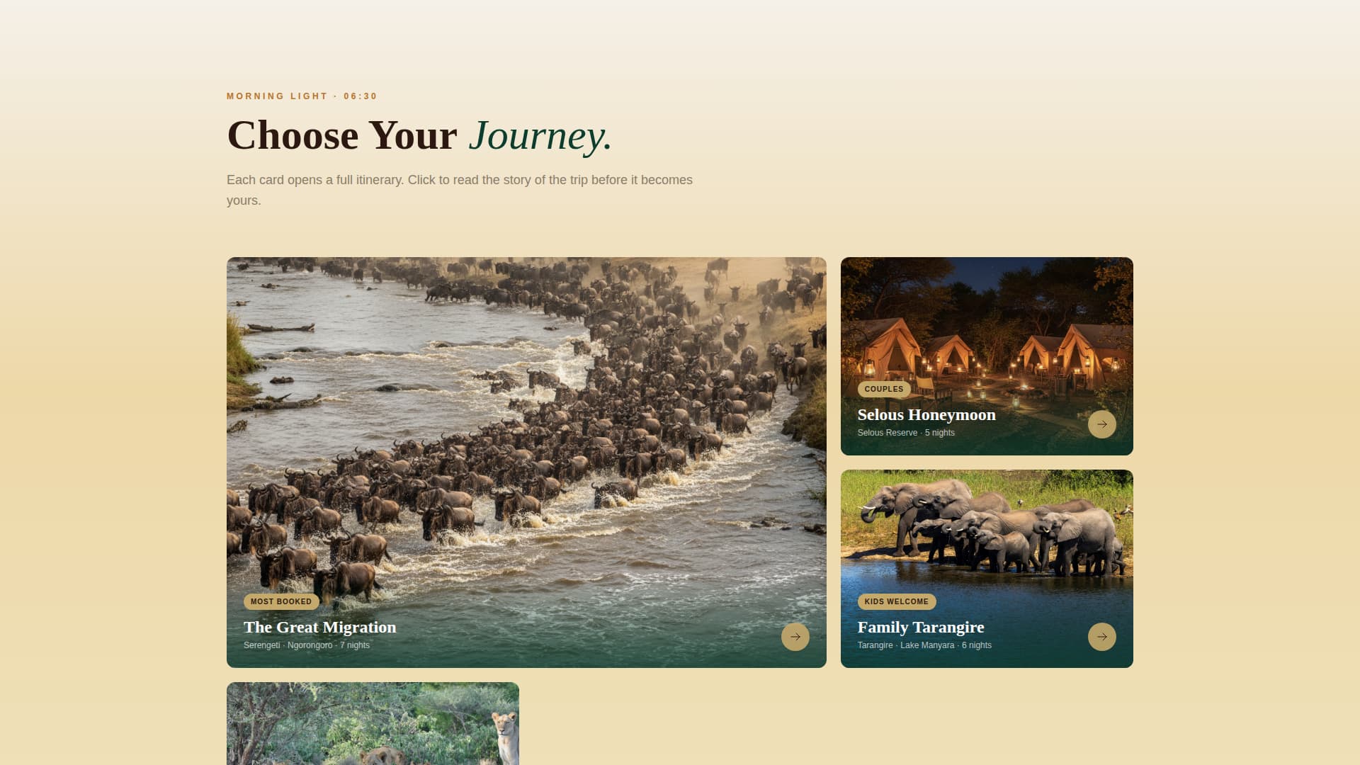 Tanzania Travel Pricing Website Template