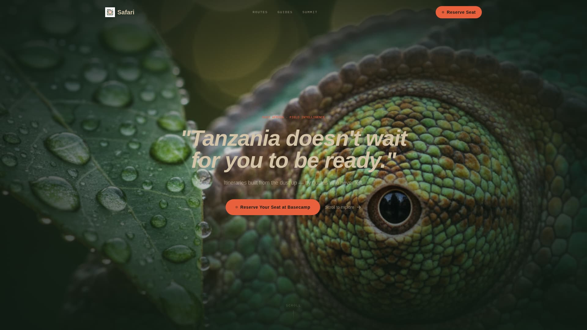 Tanzania Travel Blog Website Template