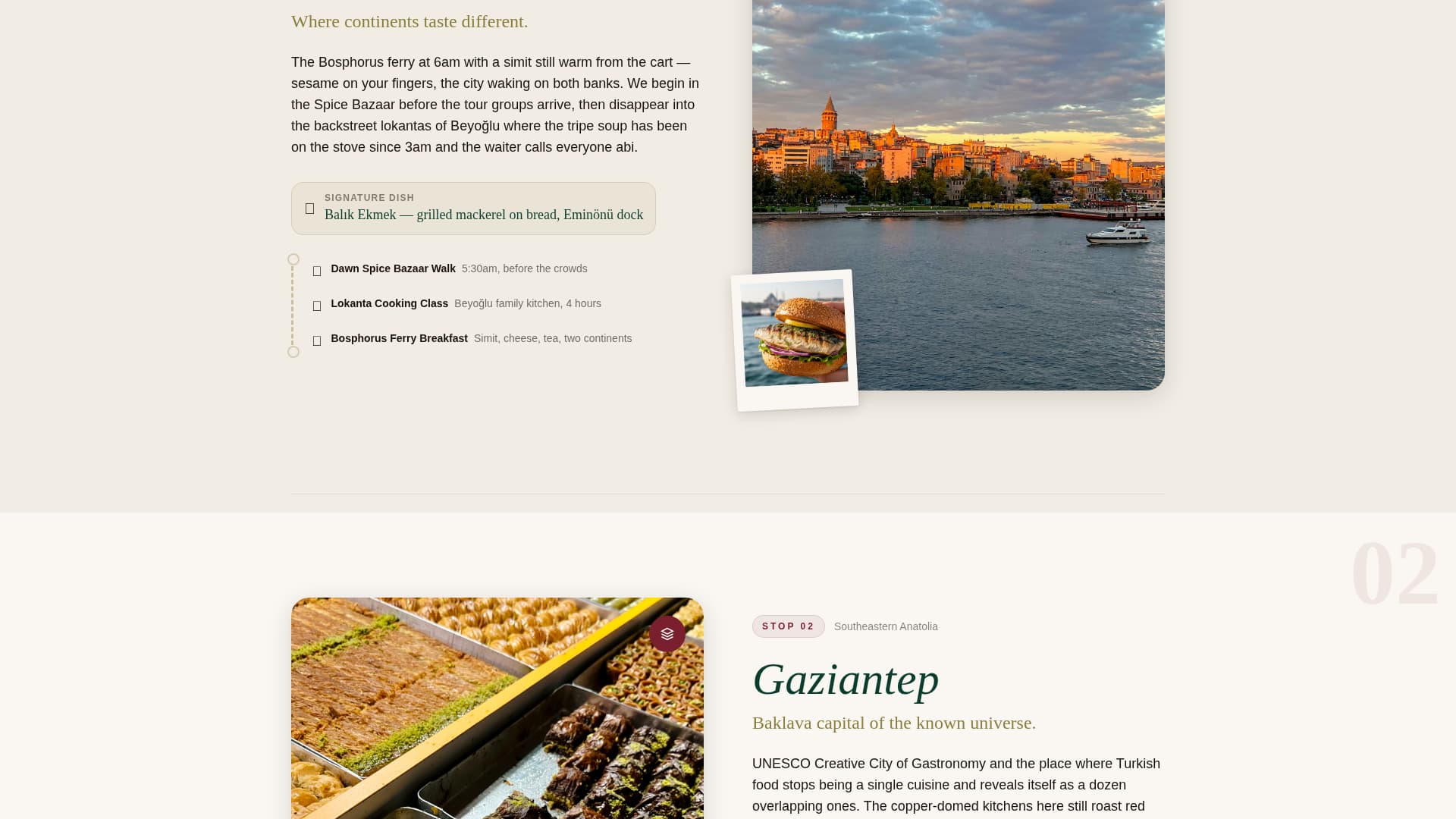 Turkey Travel Professional Website Template