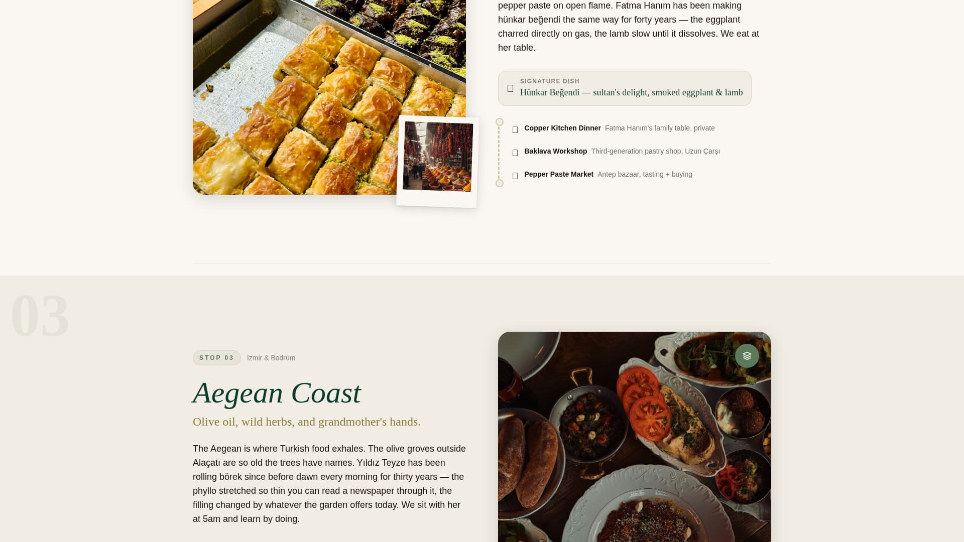 Turkey Travel Professional Website Template