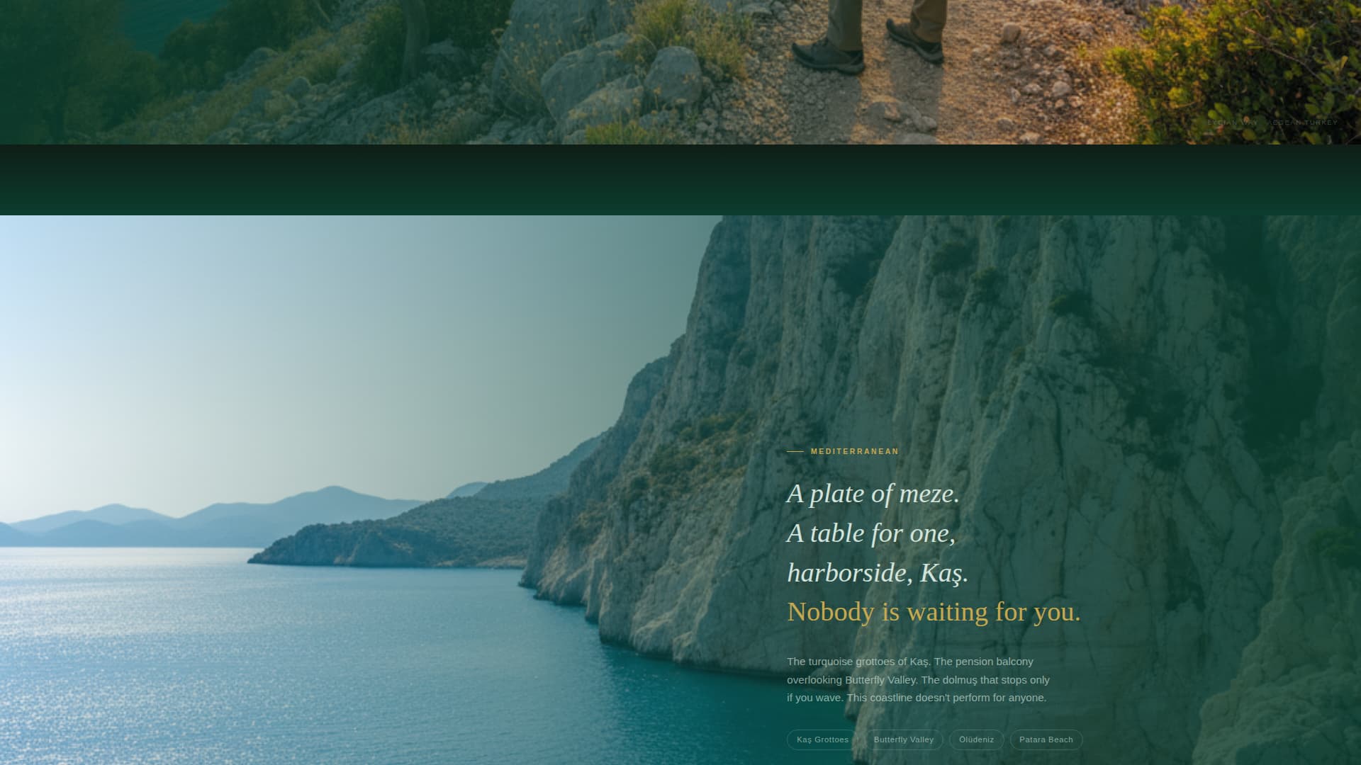 Turkey Travel Complete Professional Website Template