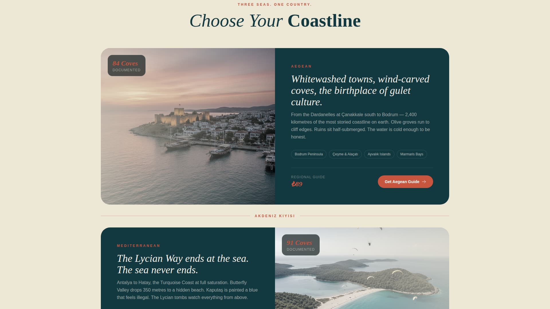 Turkey Travel Specialist Blog Website Template