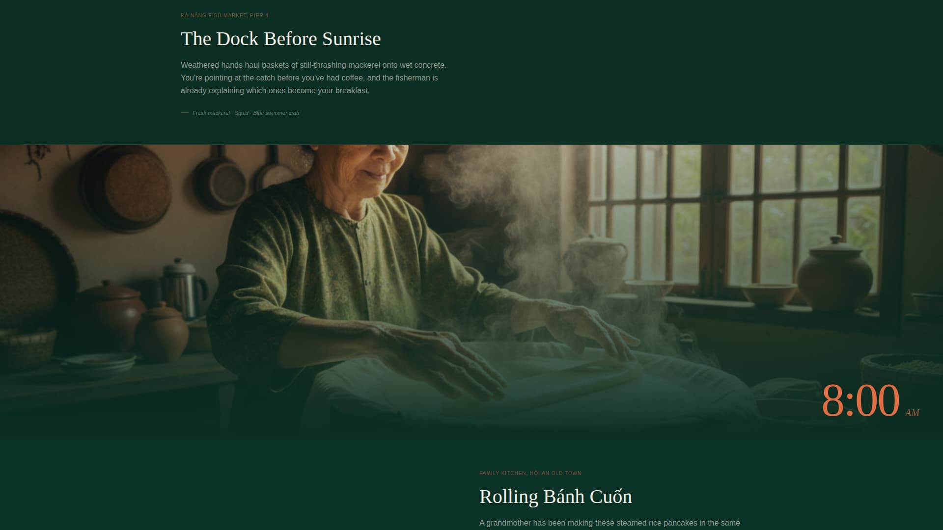 Vietnam Travel Specialist Booking Website Template