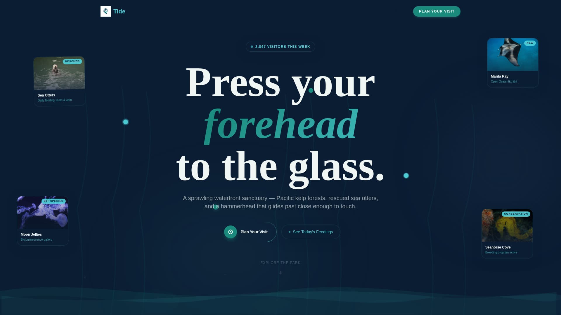 Tourist Attraction & Destination Advanced Booking Website Template