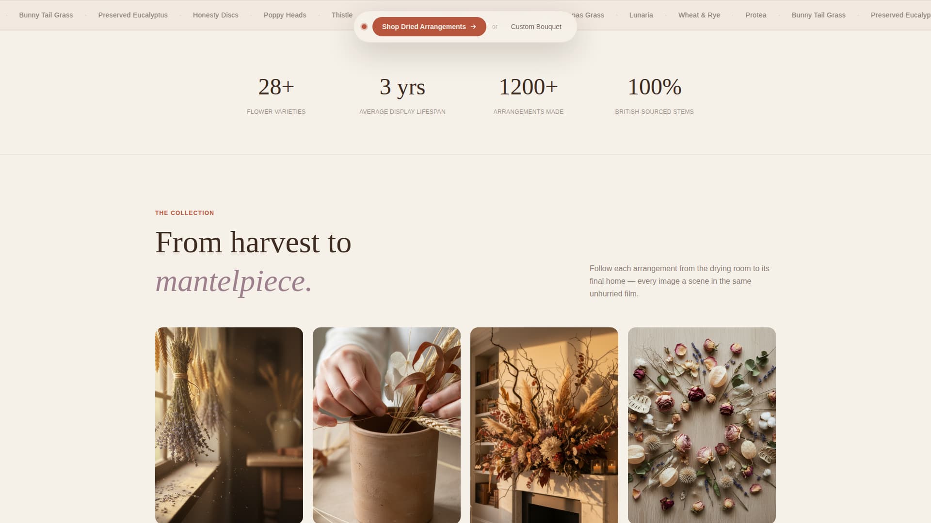Dried Flower Florist & Arrangement Shop Website Template