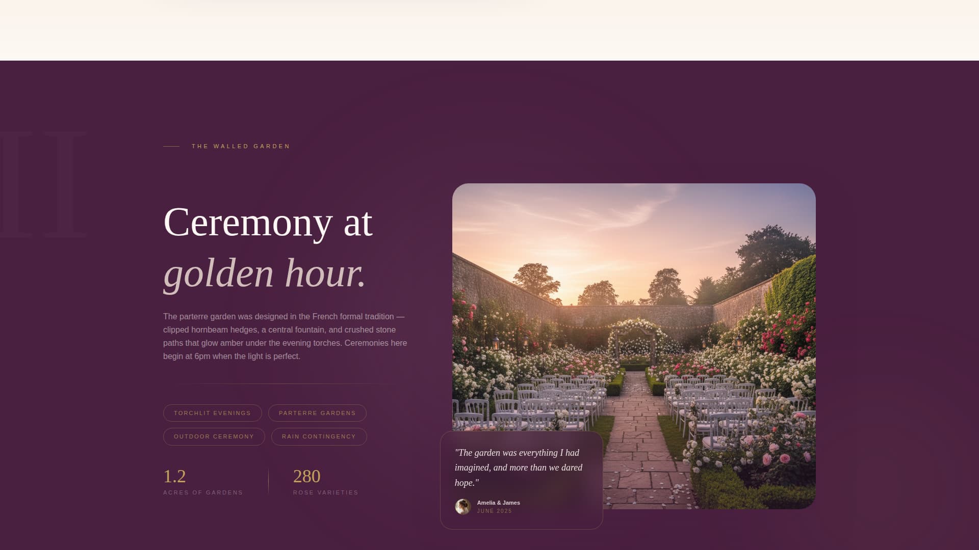 Luxury Wedding Professional Website Template