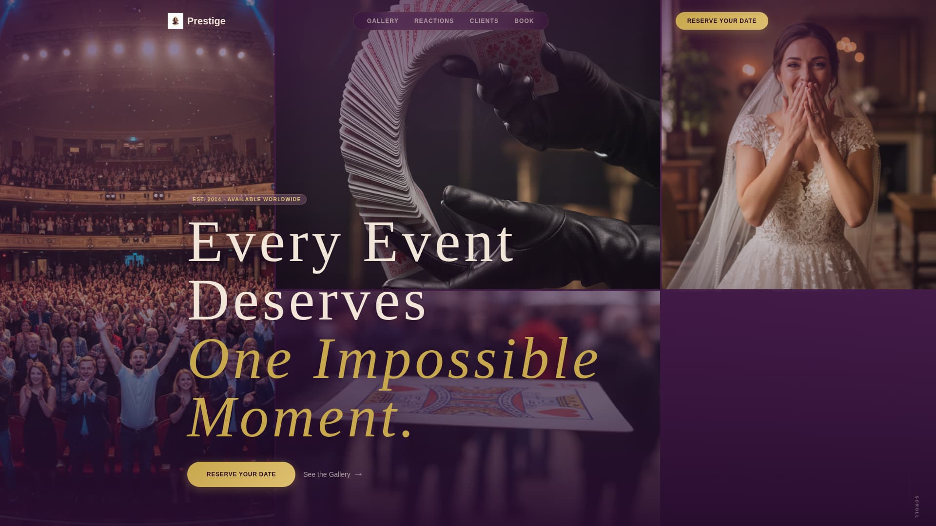 Magician & Entertainer Booking Website Template