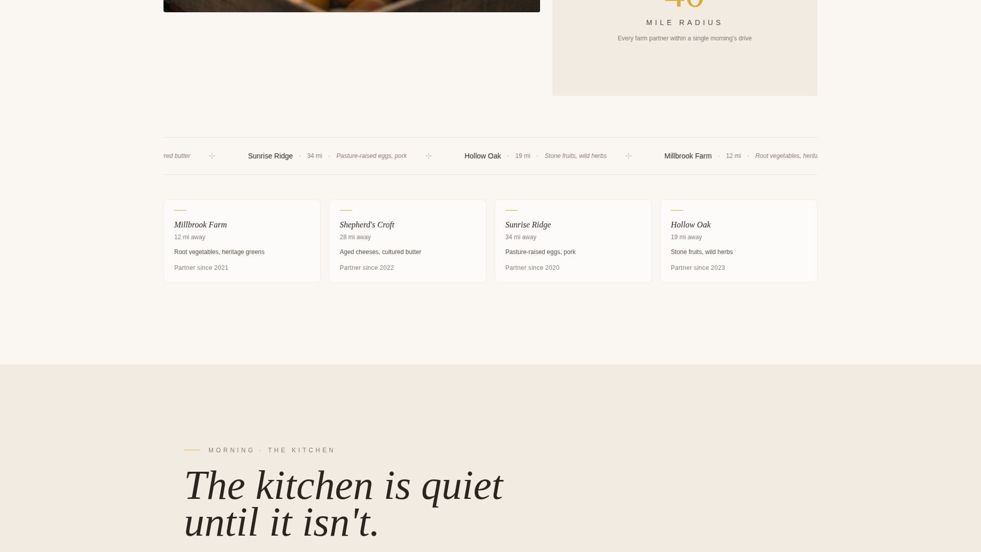 Minimalist Wedding Specialist Professional Website Template
