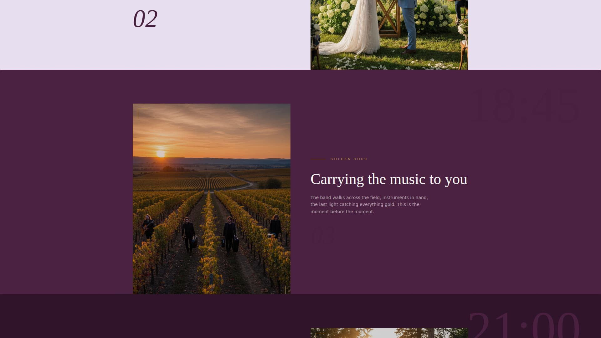 Minimalist Wedding Professional Website Template
