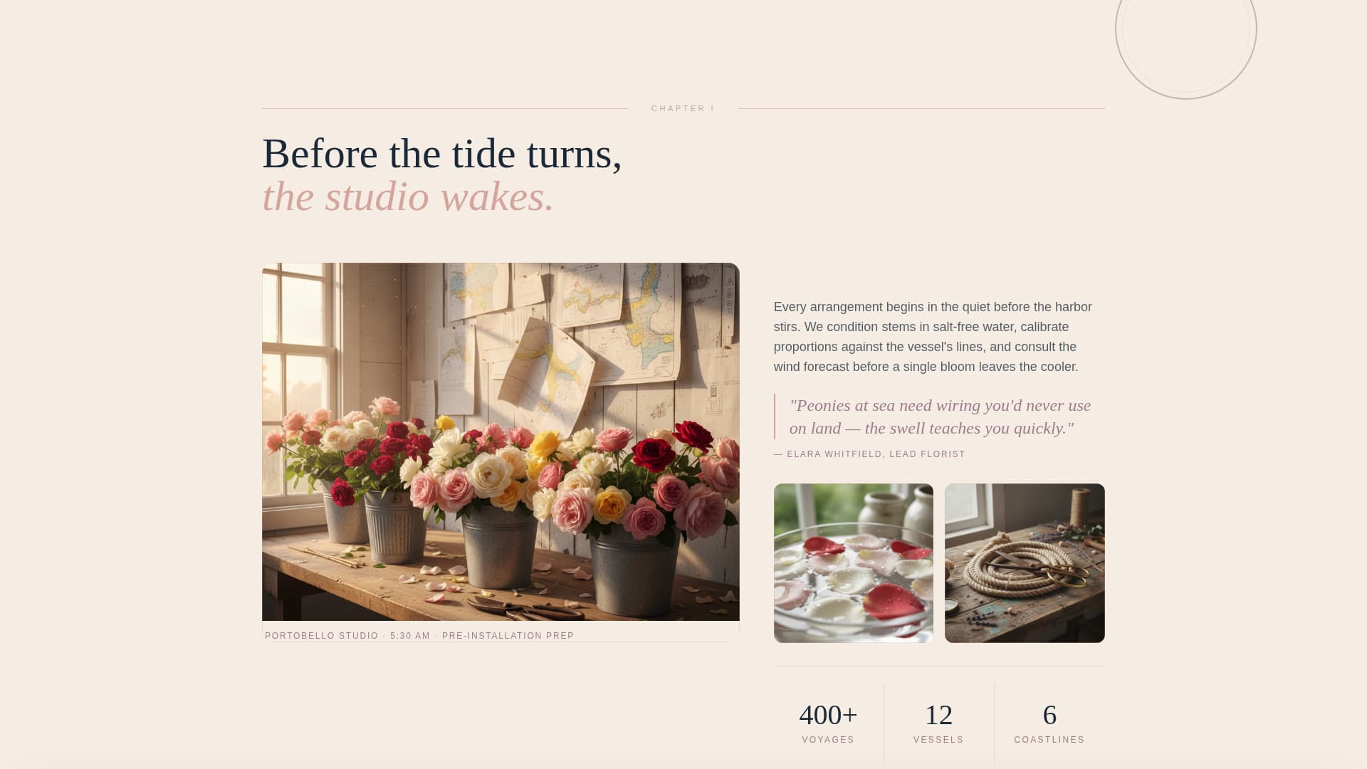 Nautical Wedding Specialist Professional Website Template