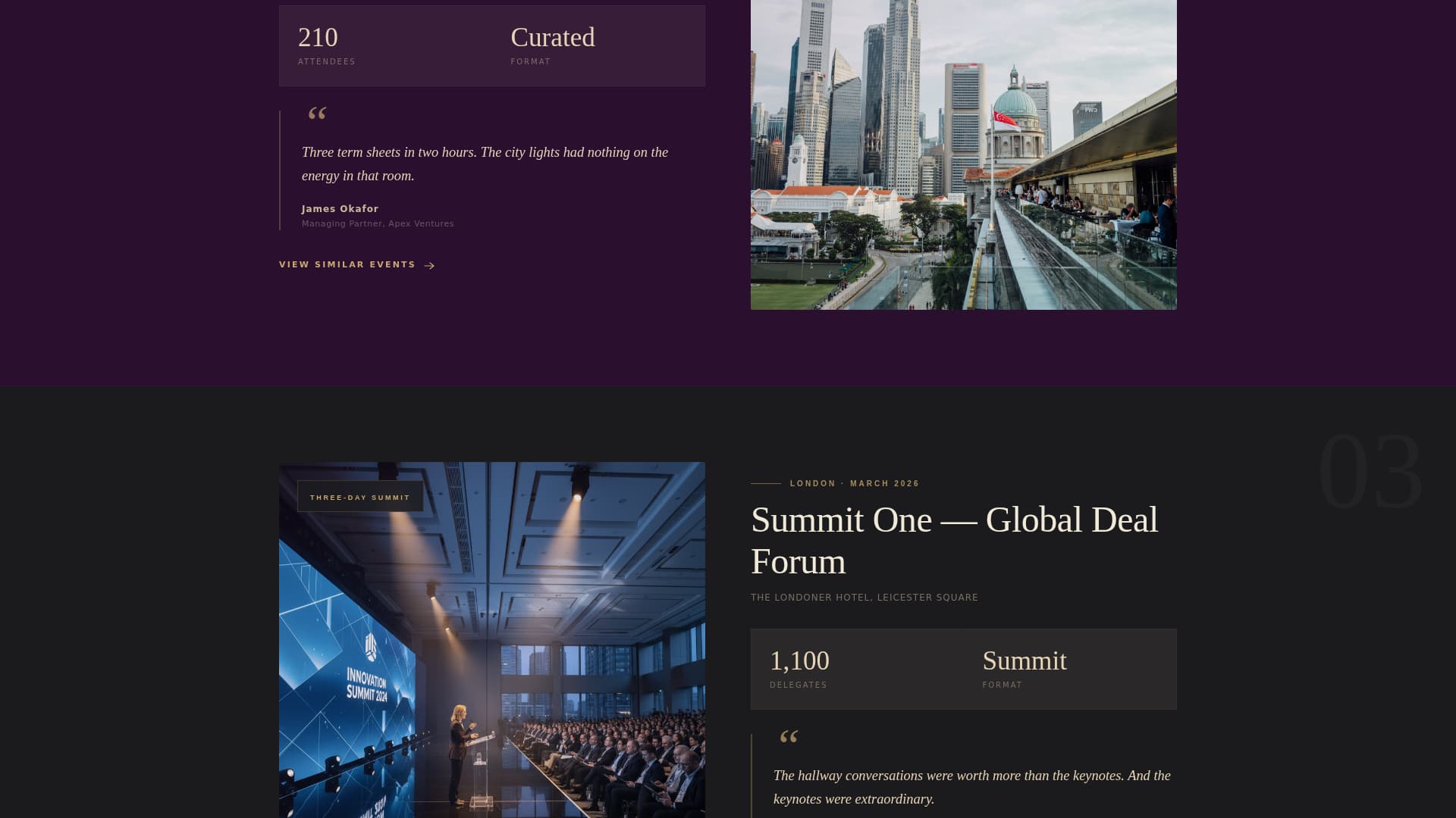Networking Event Professional Website Template