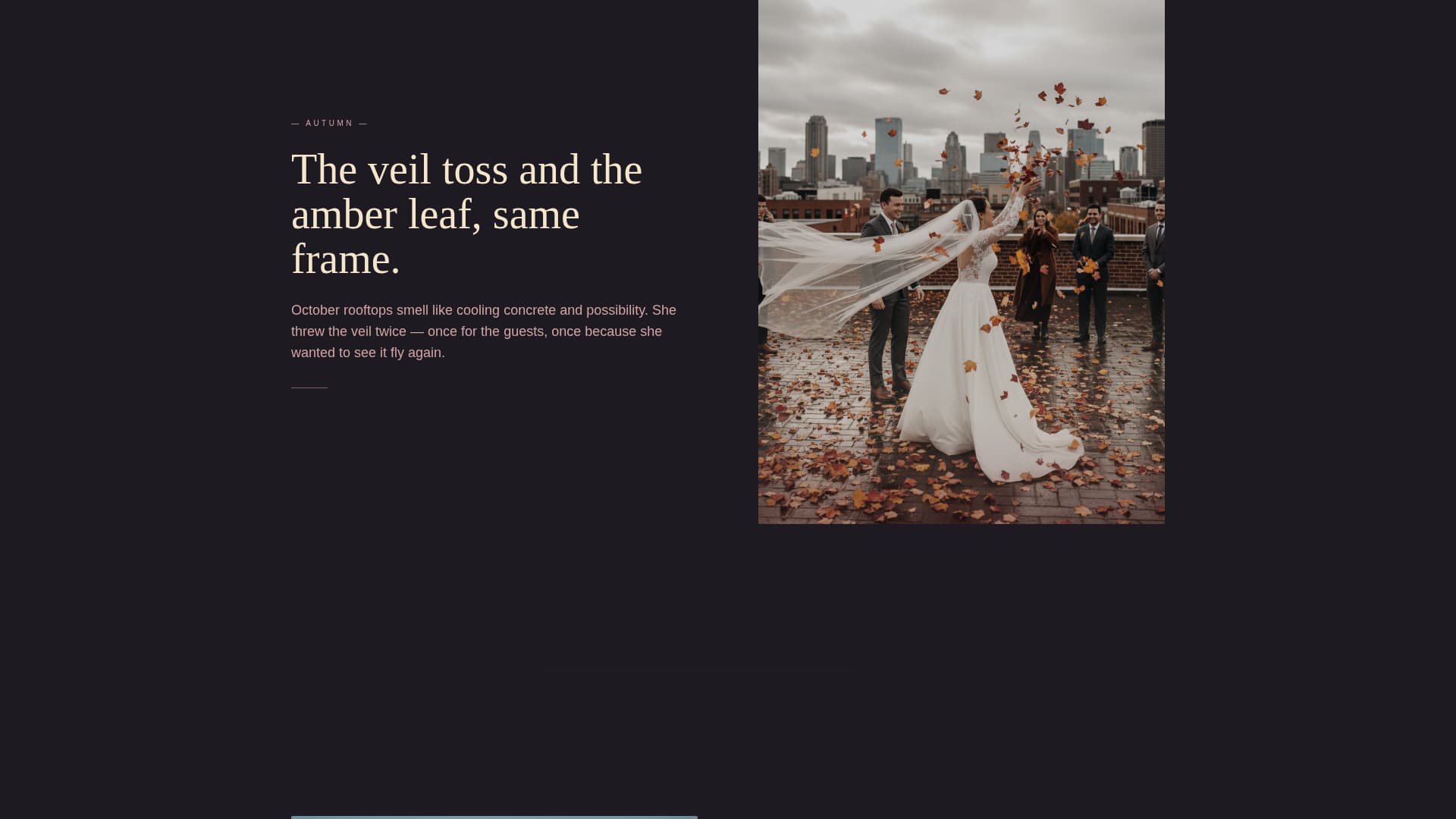 Rooftop Wedding Booking Website Template