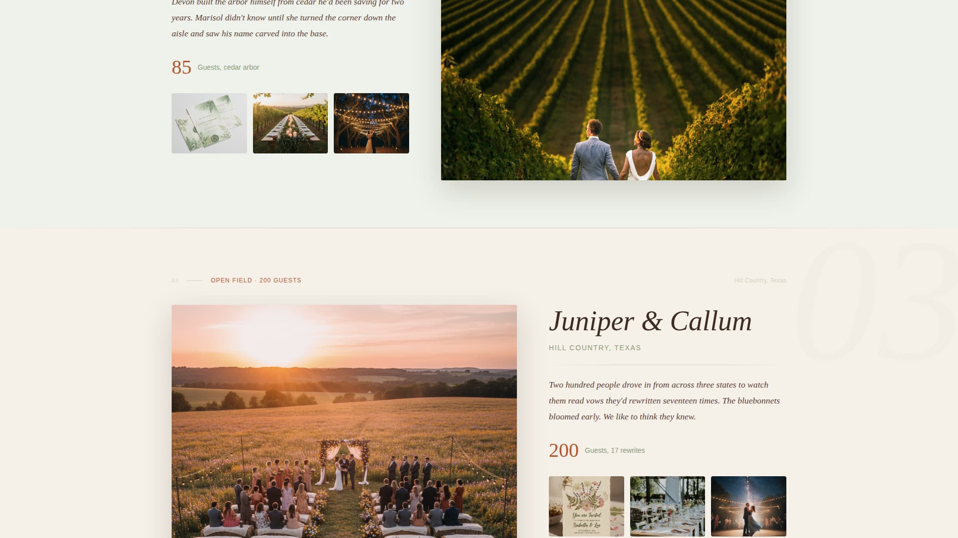 Rustic Wedding Specialist Booking Website Template