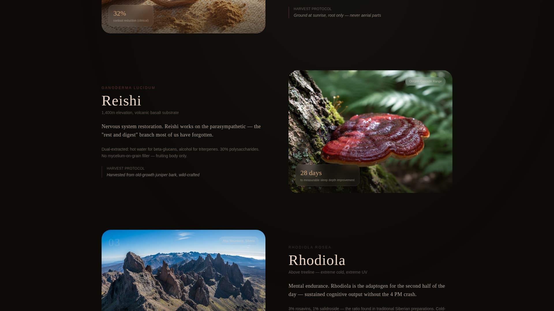 Adapt - Powerful Adaptogen Landing Page Template