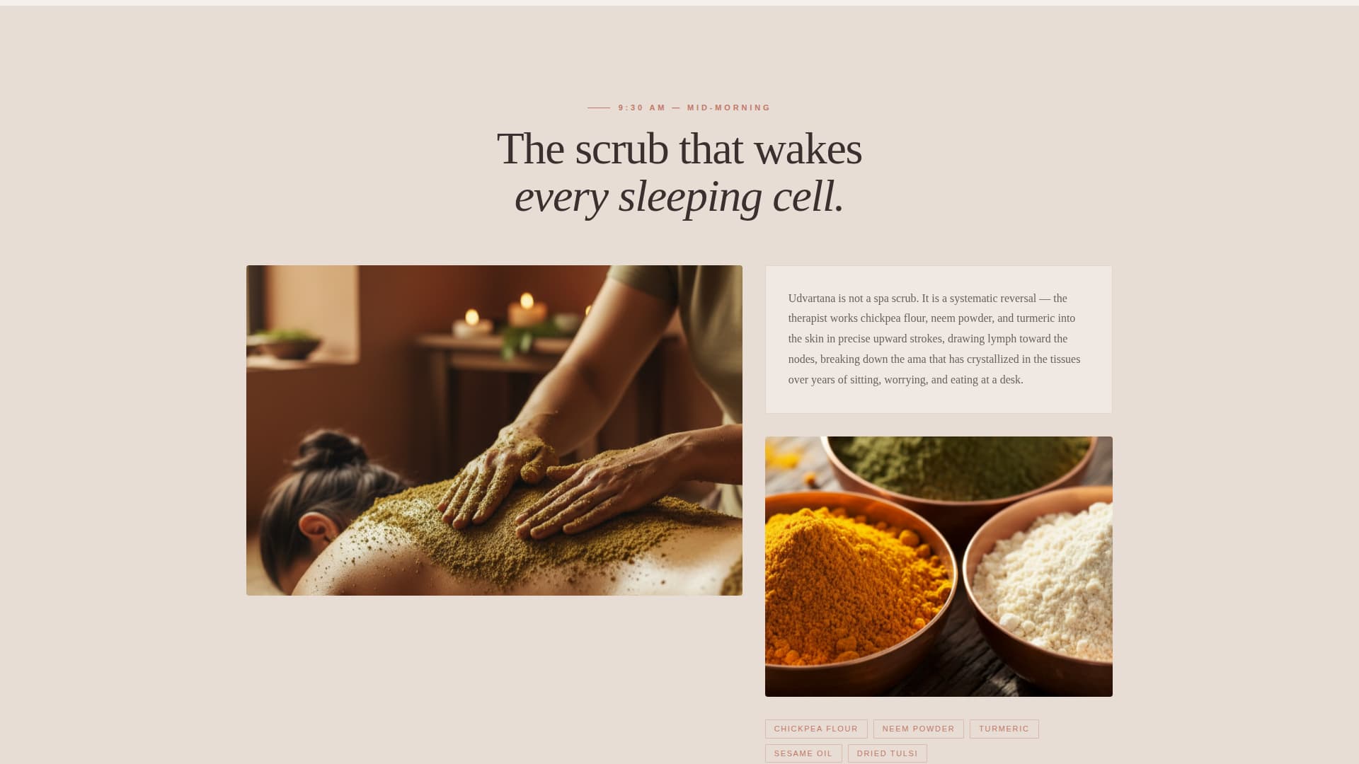 Ayurvedic Spa & Wellness Treatment Website Template
