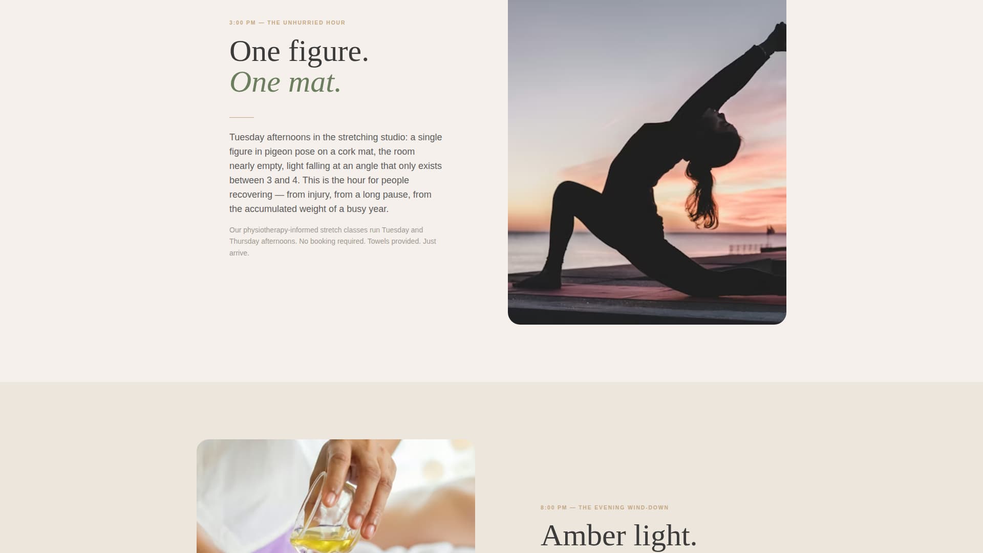 Large Gym & Fitness Chain Website Template with Zen Design