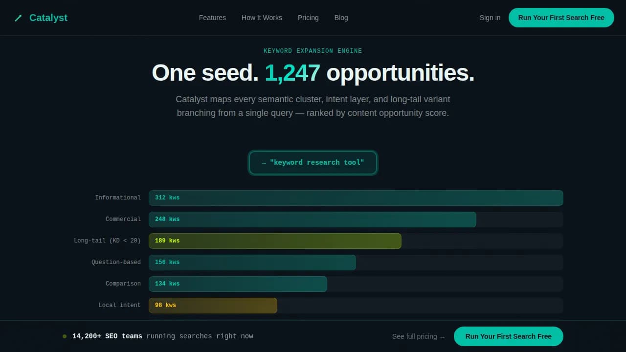 Micro-SaaS & Developer Tools Professional Website Template