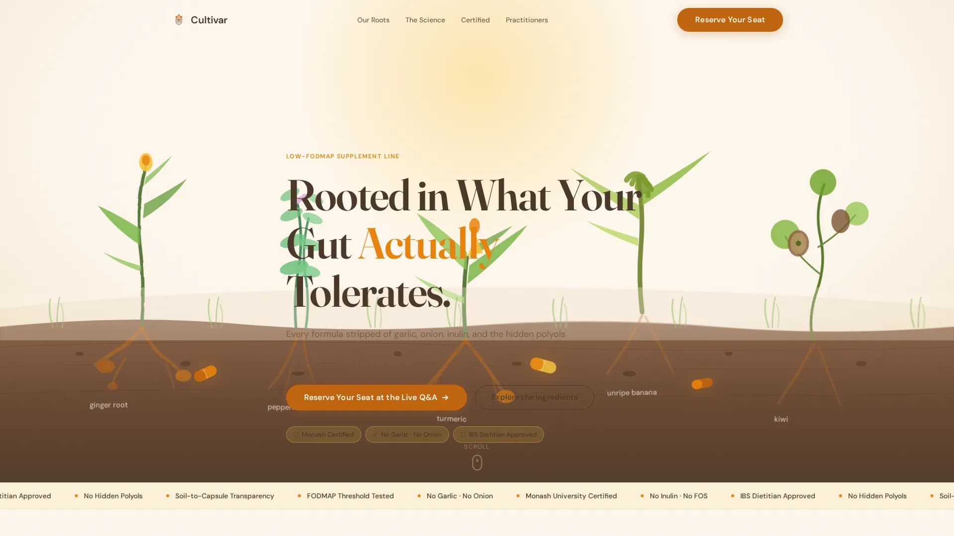 Low-FODMAP Food & Dining Portfolio & Case Study Website Template