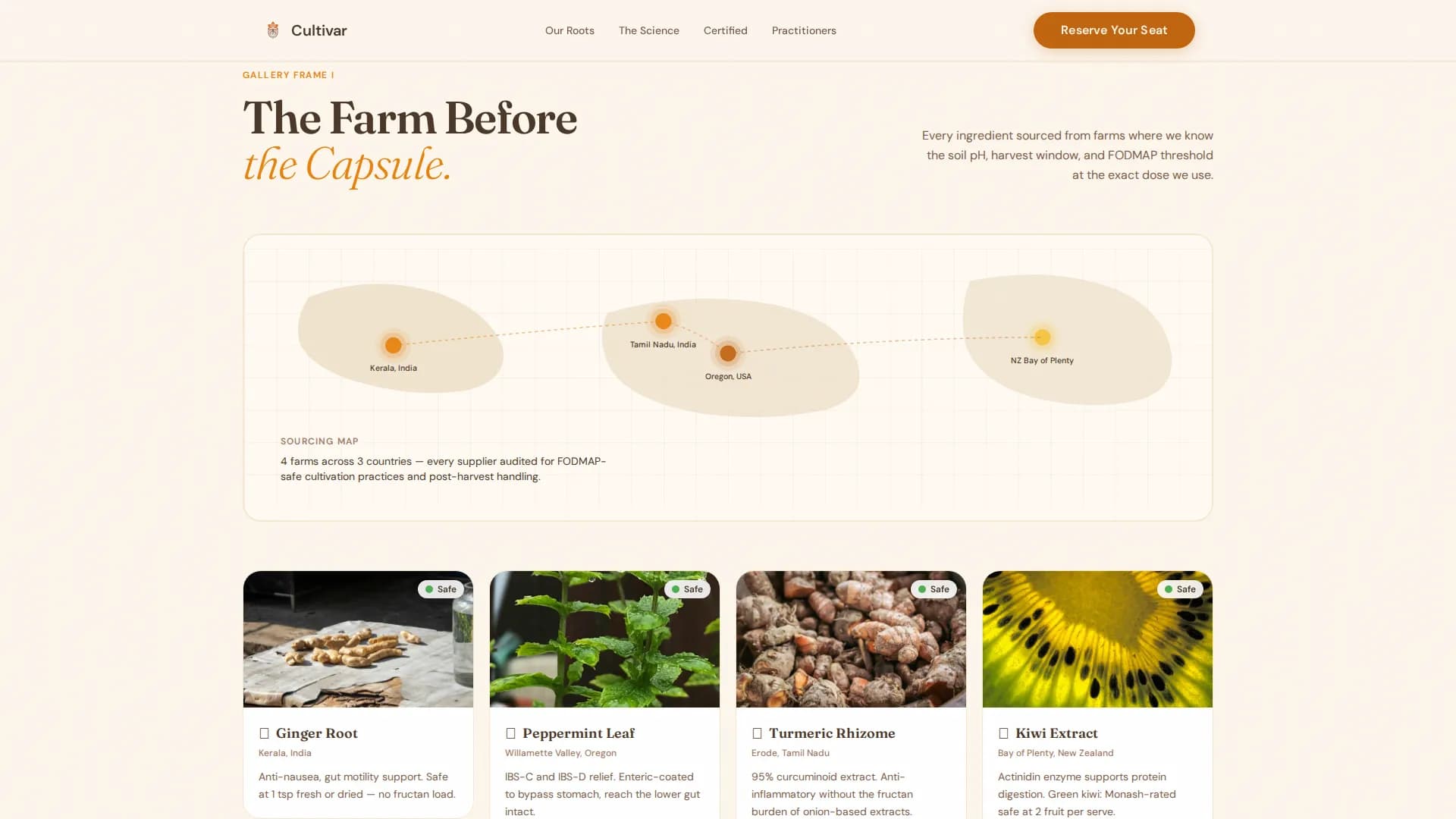 Low-FODMAP Food & Dining Portfolio & Case Study Website Template