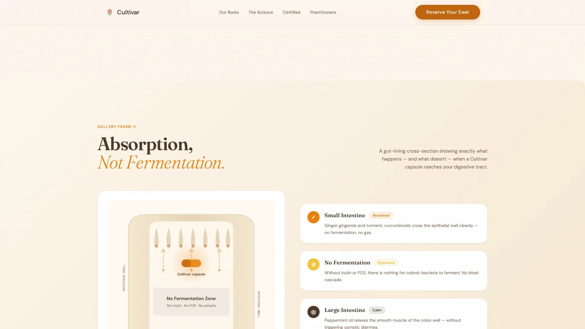 Low-FODMAP Food & Dining Portfolio & Case Study Website Template