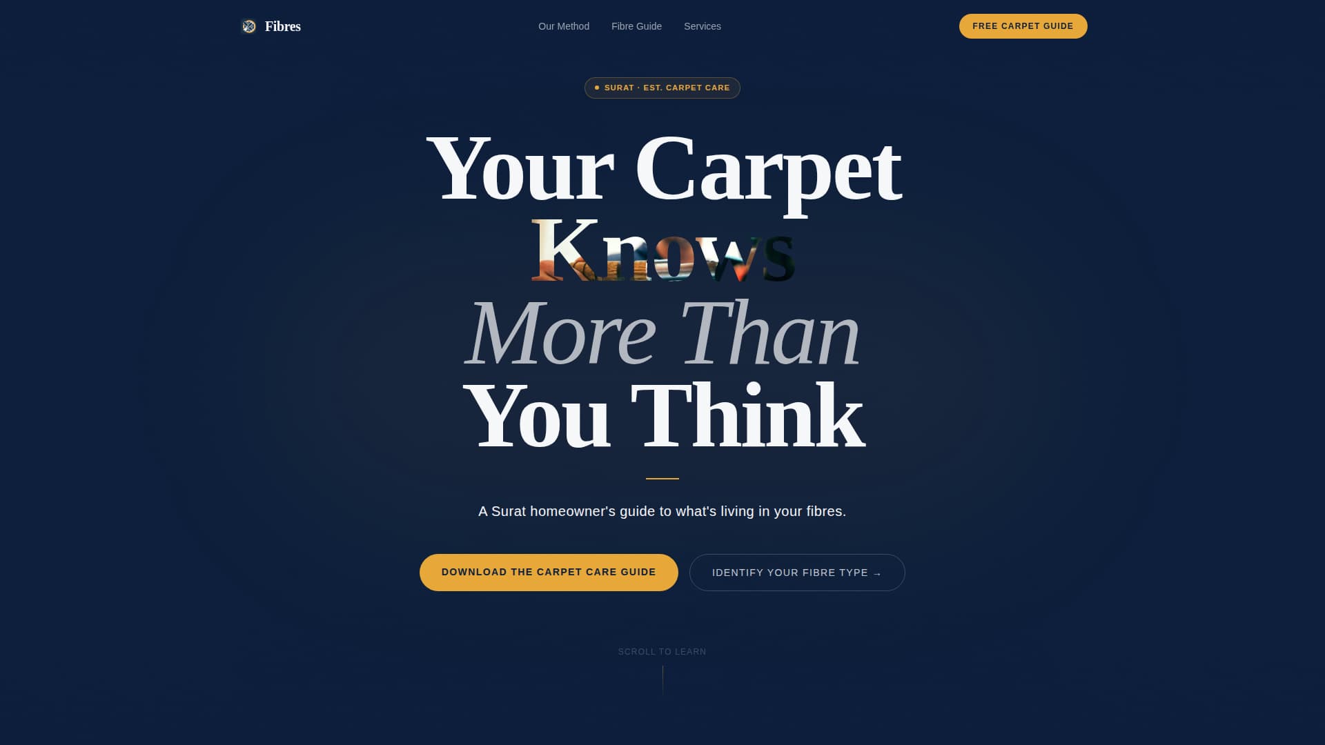 Pristine — Expert Carpet Restoration Landing Page Template