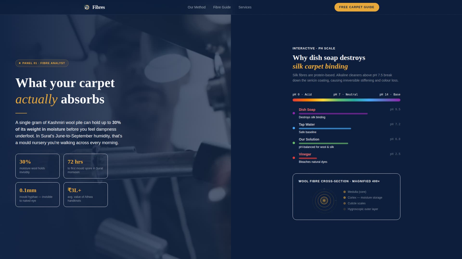 Pristine — Expert Carpet Restoration Landing Page Template