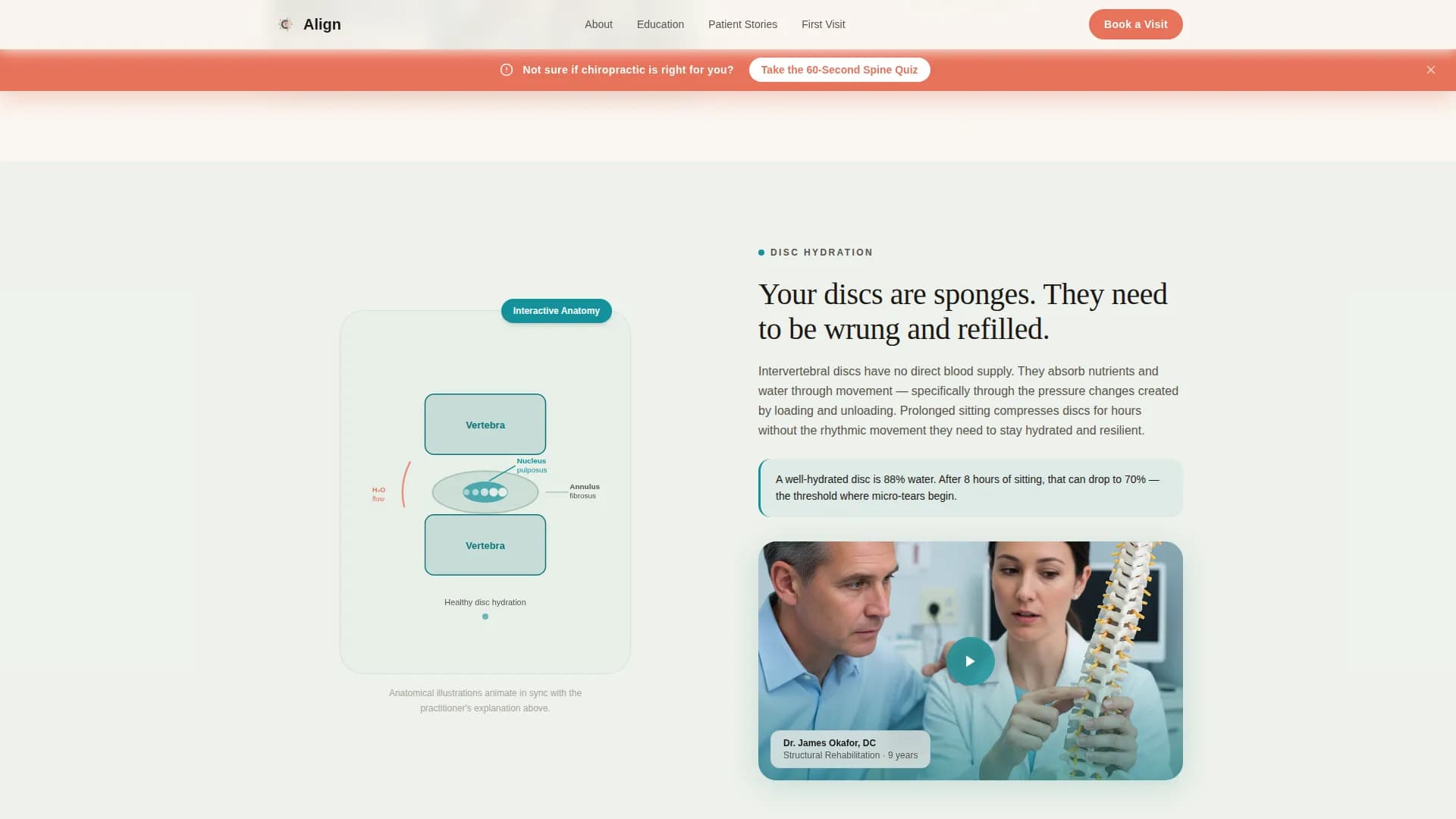 Chiropractic Patient Education Website for New Patients