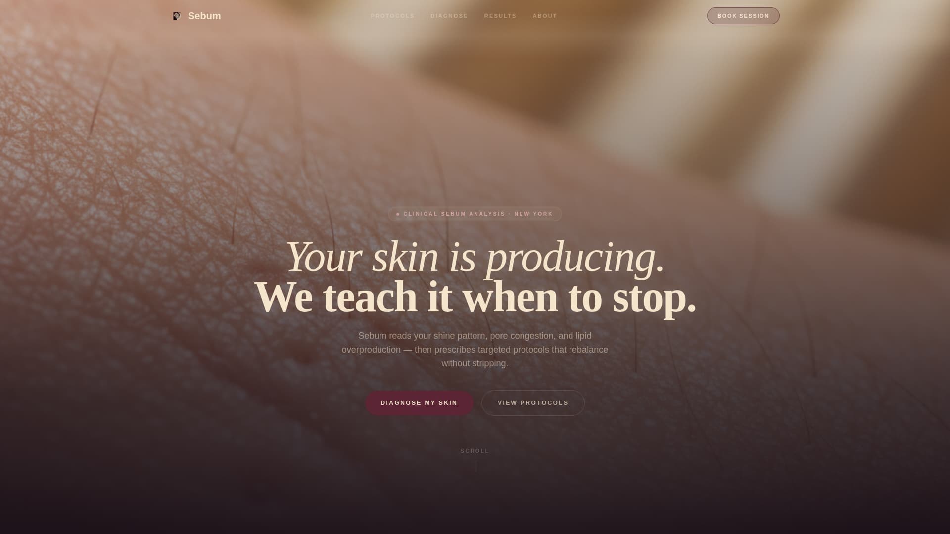 Oily Skin Beauty Booking Website Template